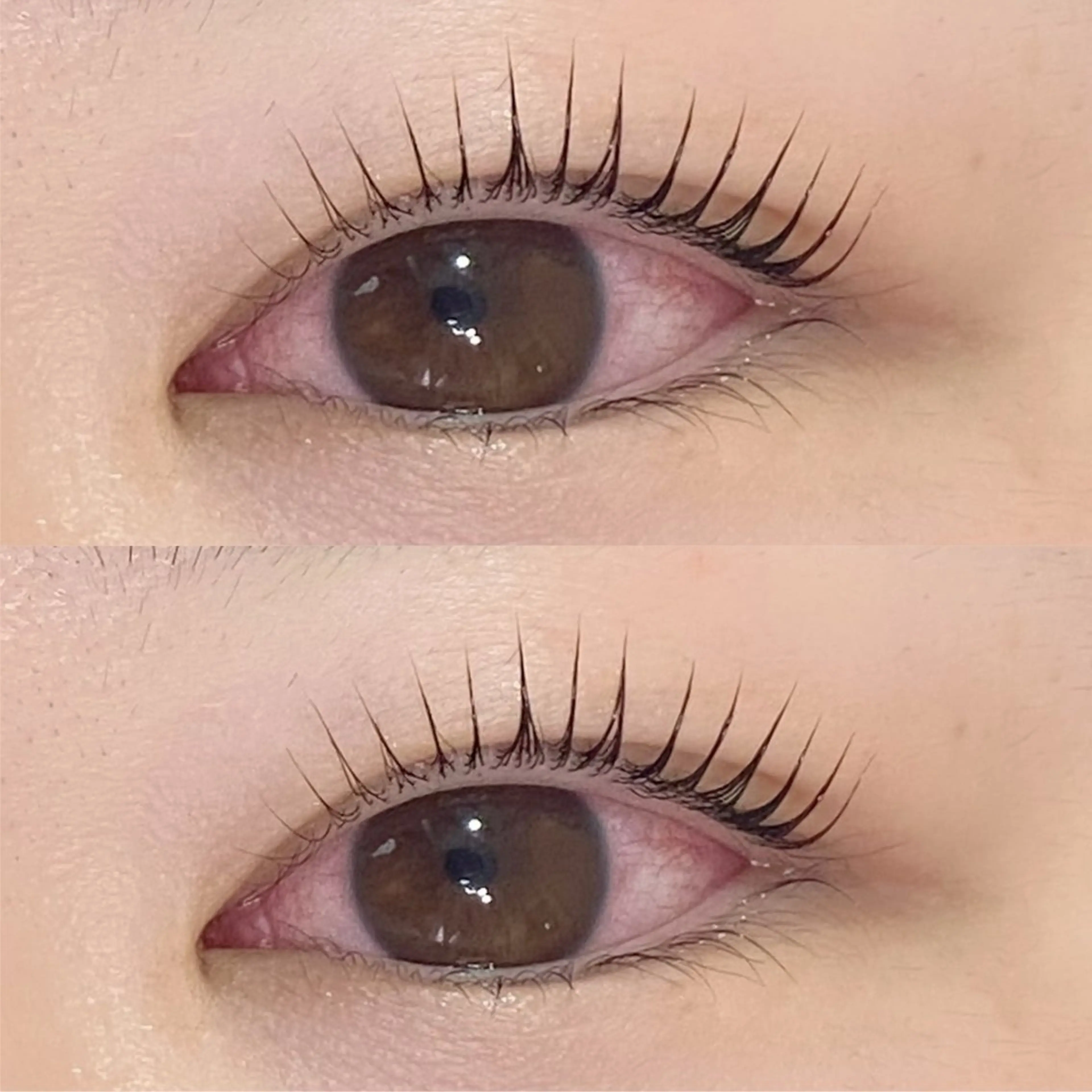 ✨当日限定価格！✨パリジェンヌラッシュリフトの写真