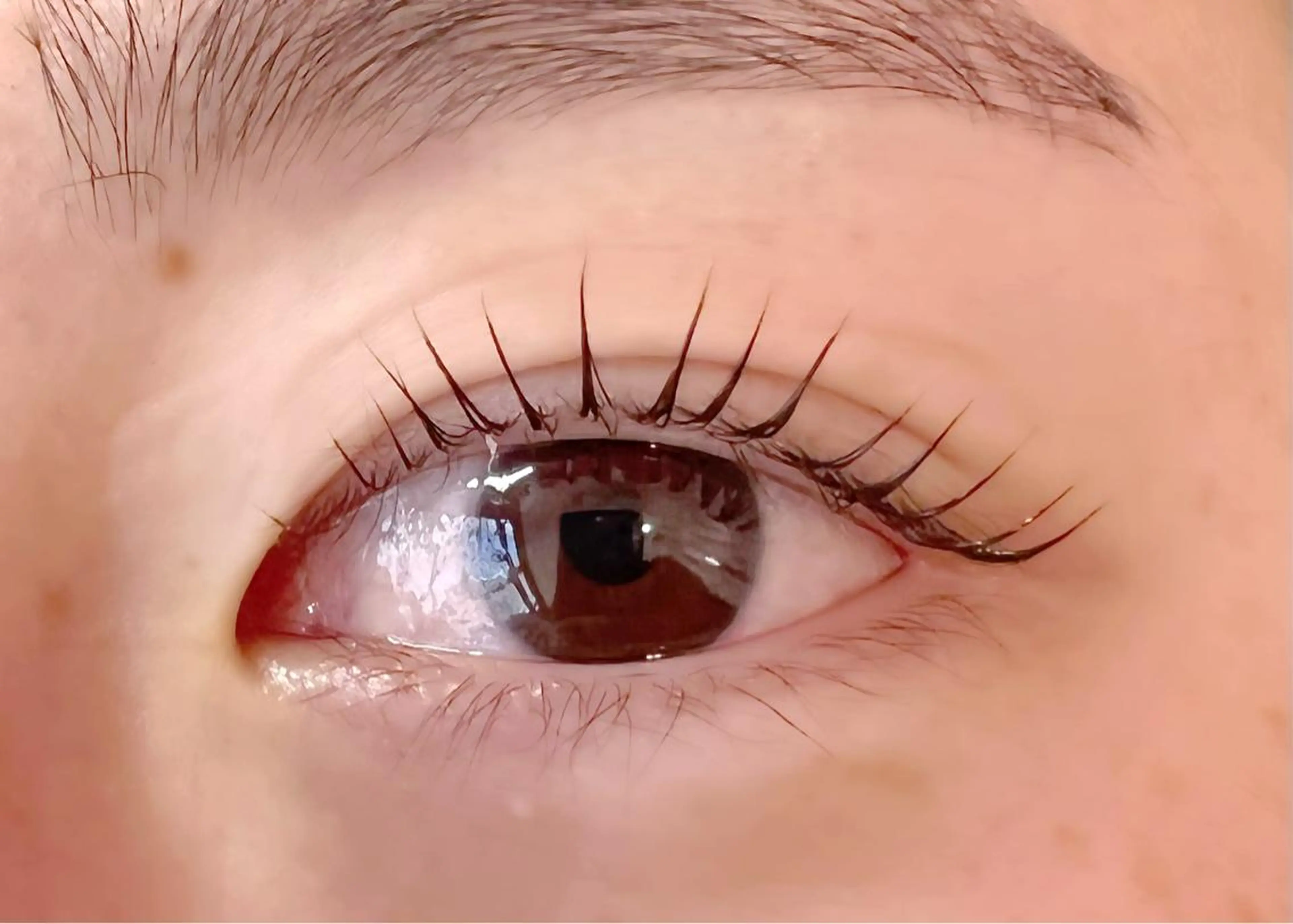 マツエク・マツパ 🧸Celeste Venusのマツエク・マツパデザイン