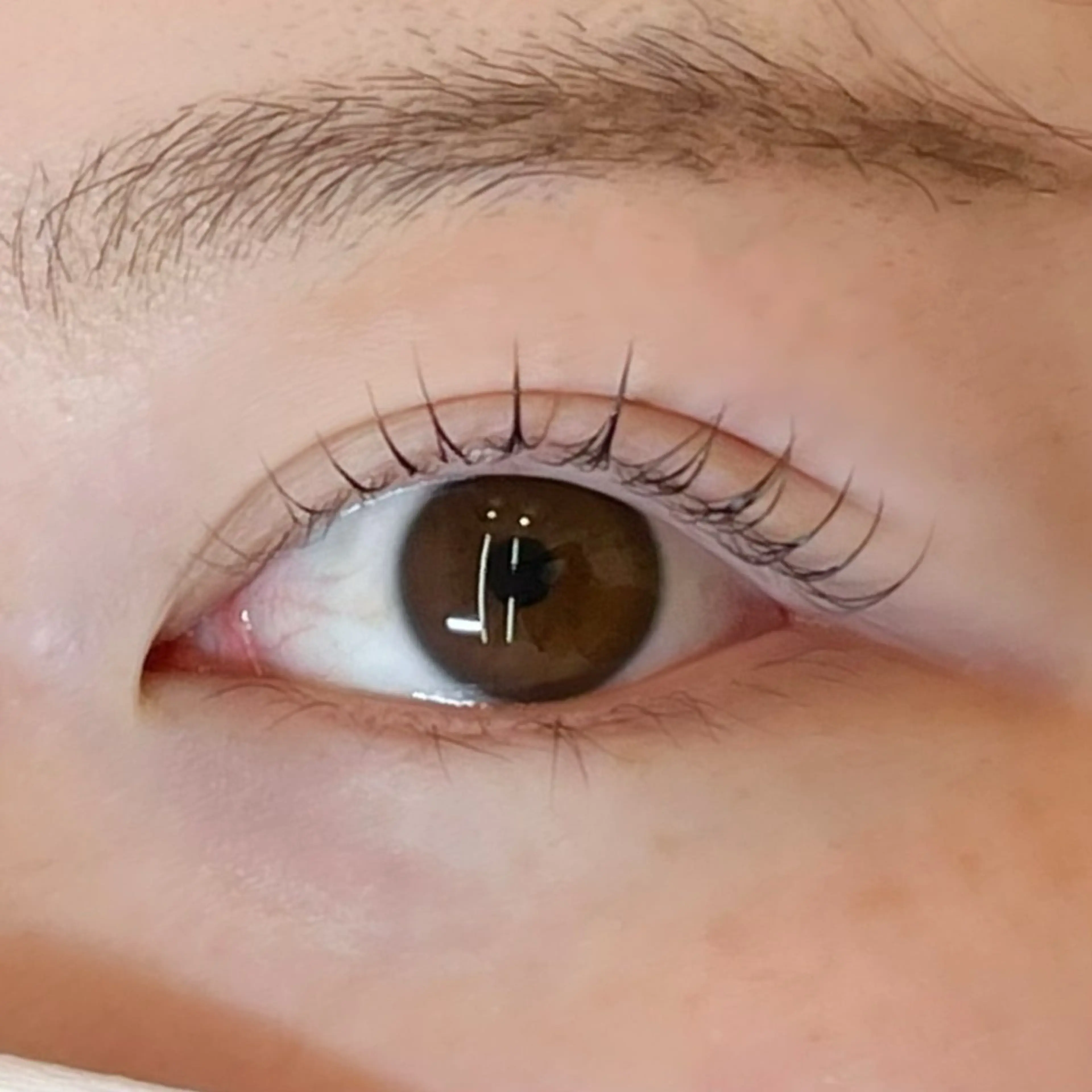 マツエク・マツパ 韓国風マツエク まつげパーマ LiNu mikuのマツエク・マツパデザイン