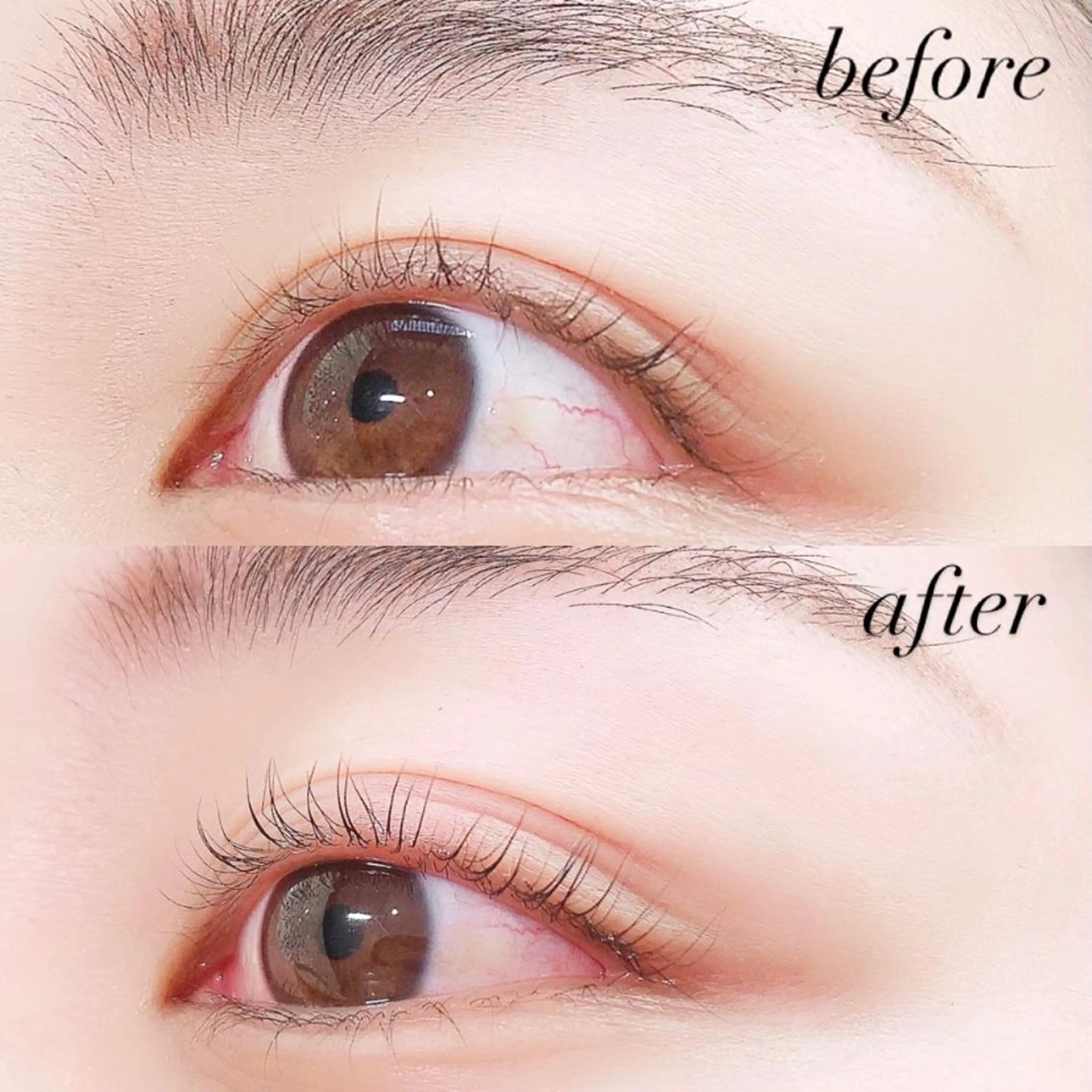 マツエク・マツパ マツパ 【Lanhr】 🕊aya🕊のマツエク・マツパデザイン