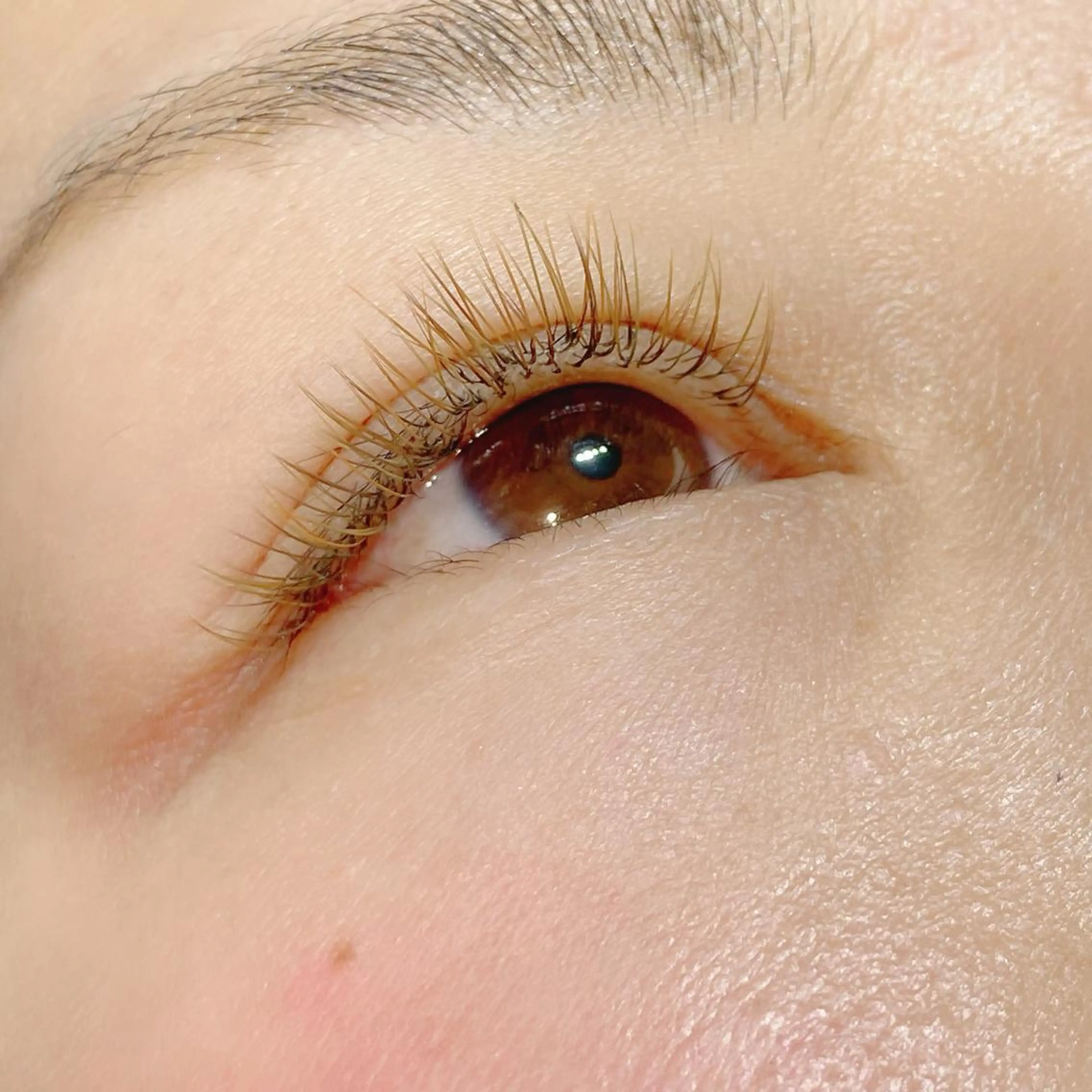 マツエク・マツパ フラットラッシュ マツエク Neo店長🌿 KOTONO🌿のマツエク・マツパデザイン