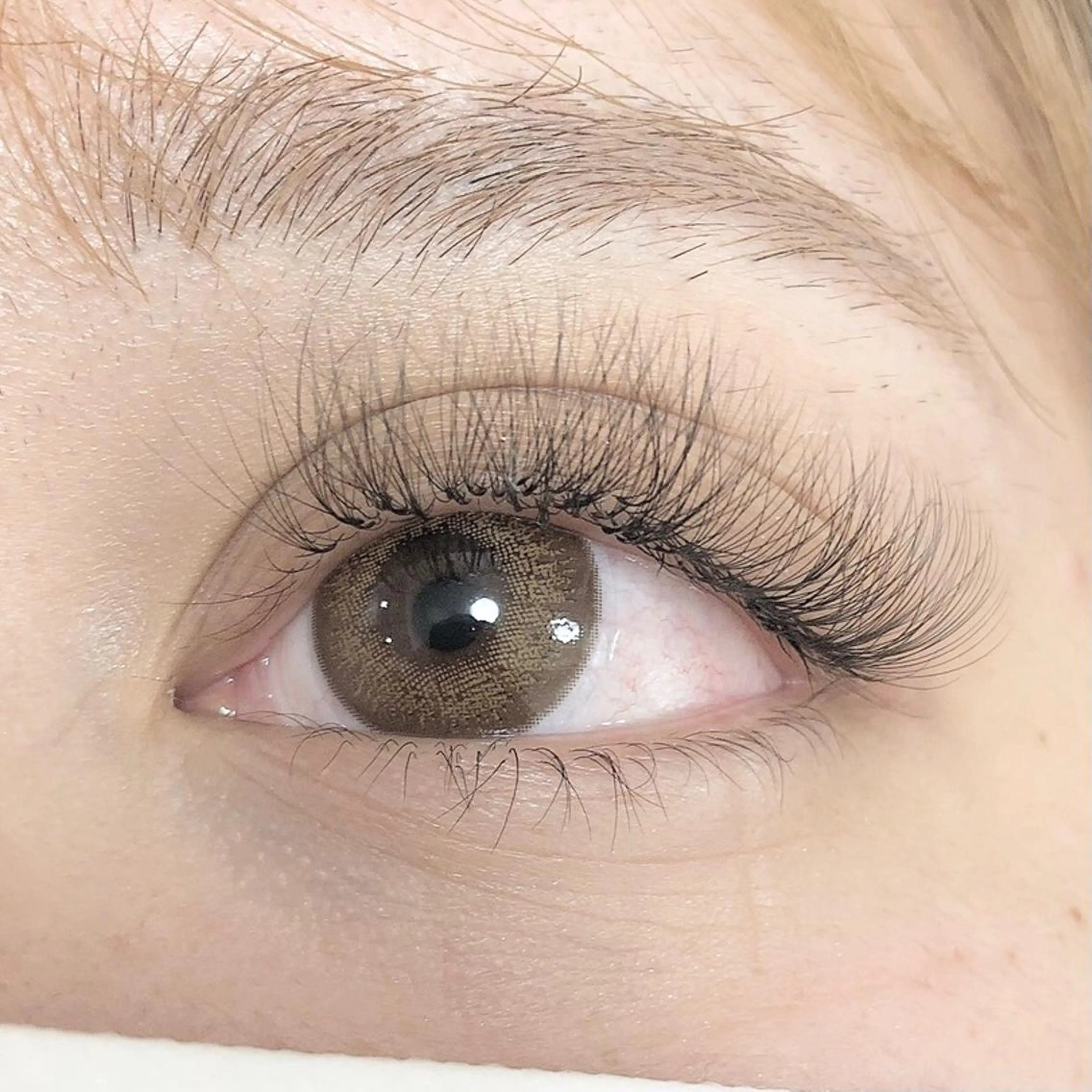 マツエク・マツパ Dカール ナチュラル ボリュームラッシュ ✧elpatio✧︎ 小出紗羅のマツエク・マツパデザイン