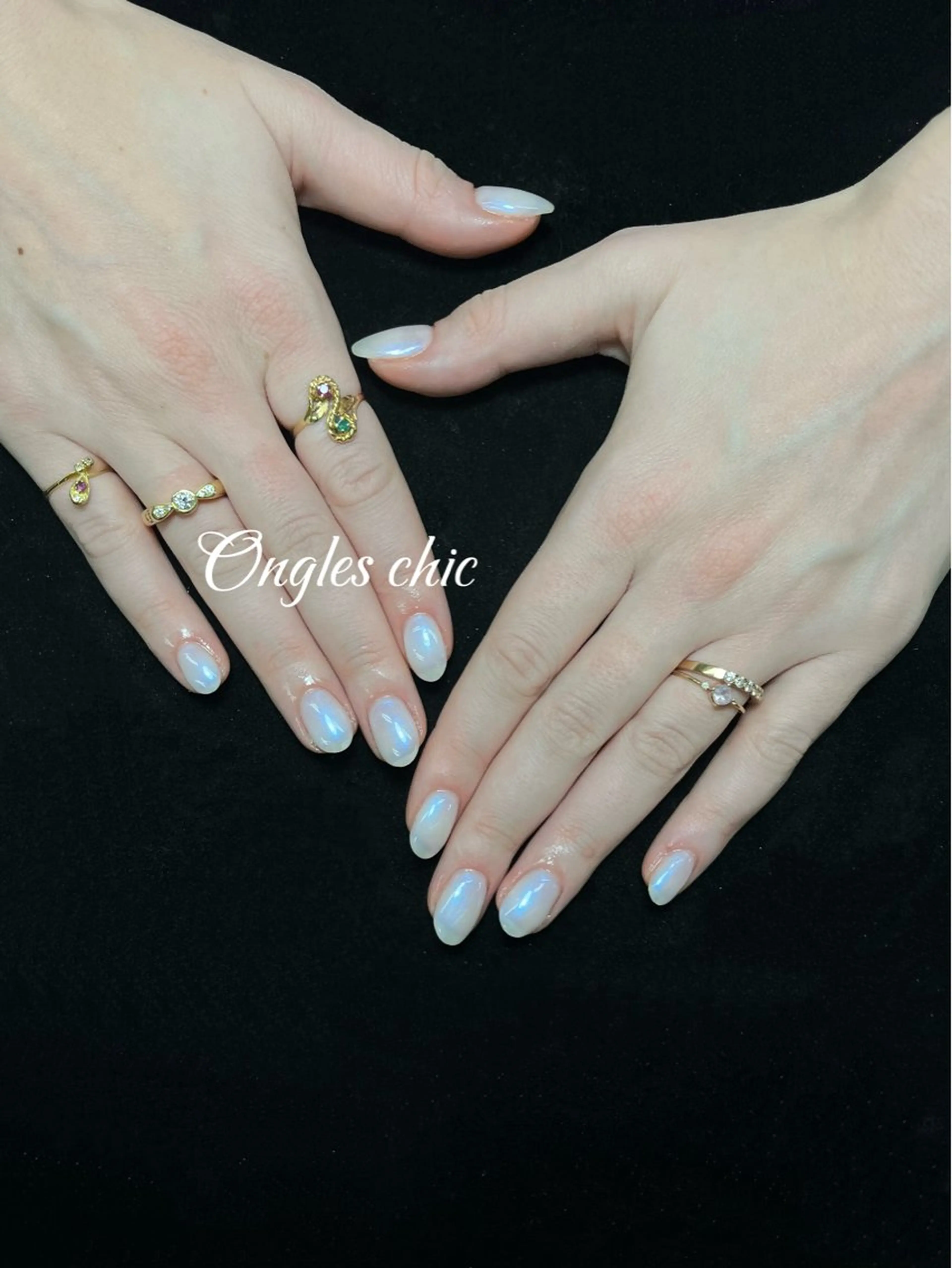 ネイル ハンドネイル ongles chicのネイルデザイン