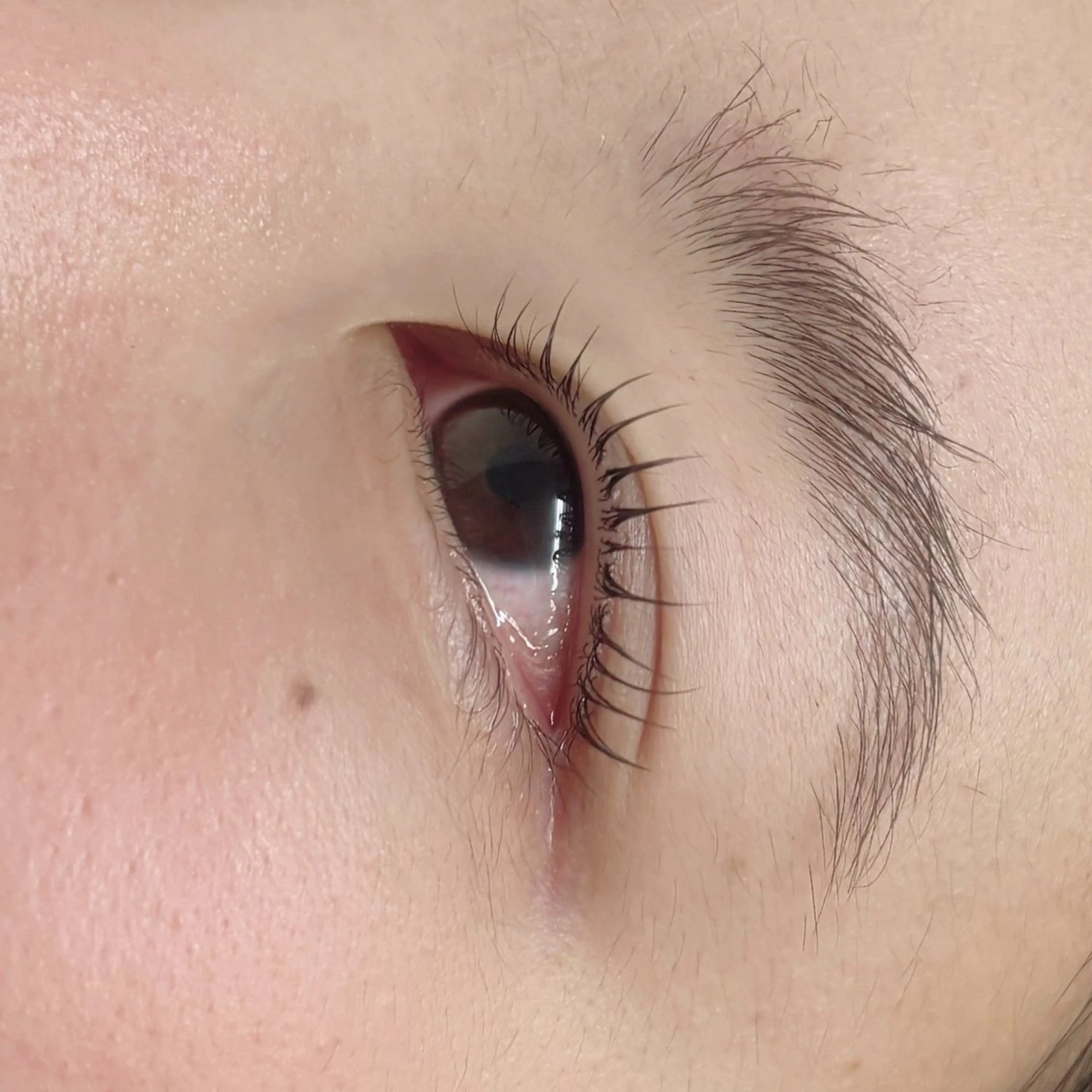 マツエク・マツパ 彩楓 /EYELA🪄ྀིのマツエク・マツパデザイン