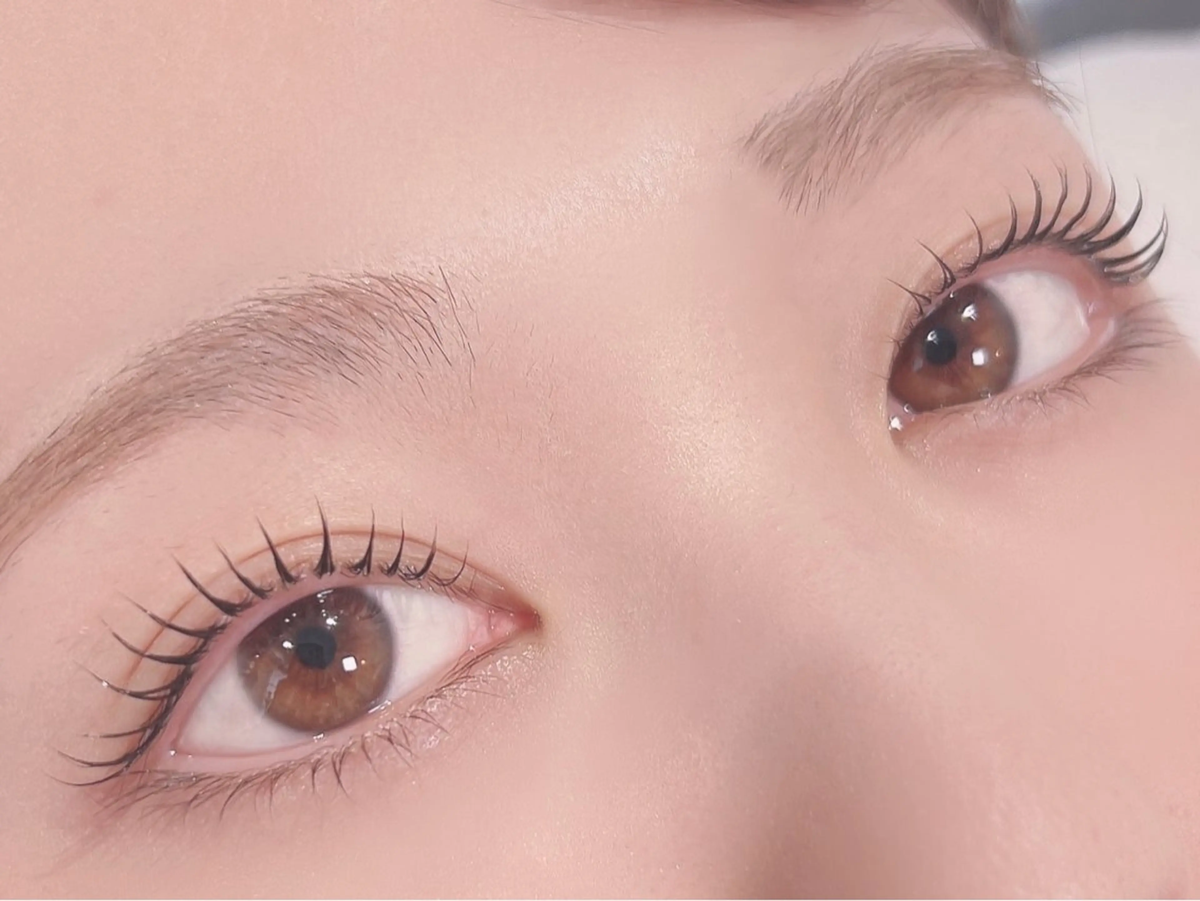 マツエク・マツパ マツパ Chipi Eyelashの眉毛・アイブロウイメージ