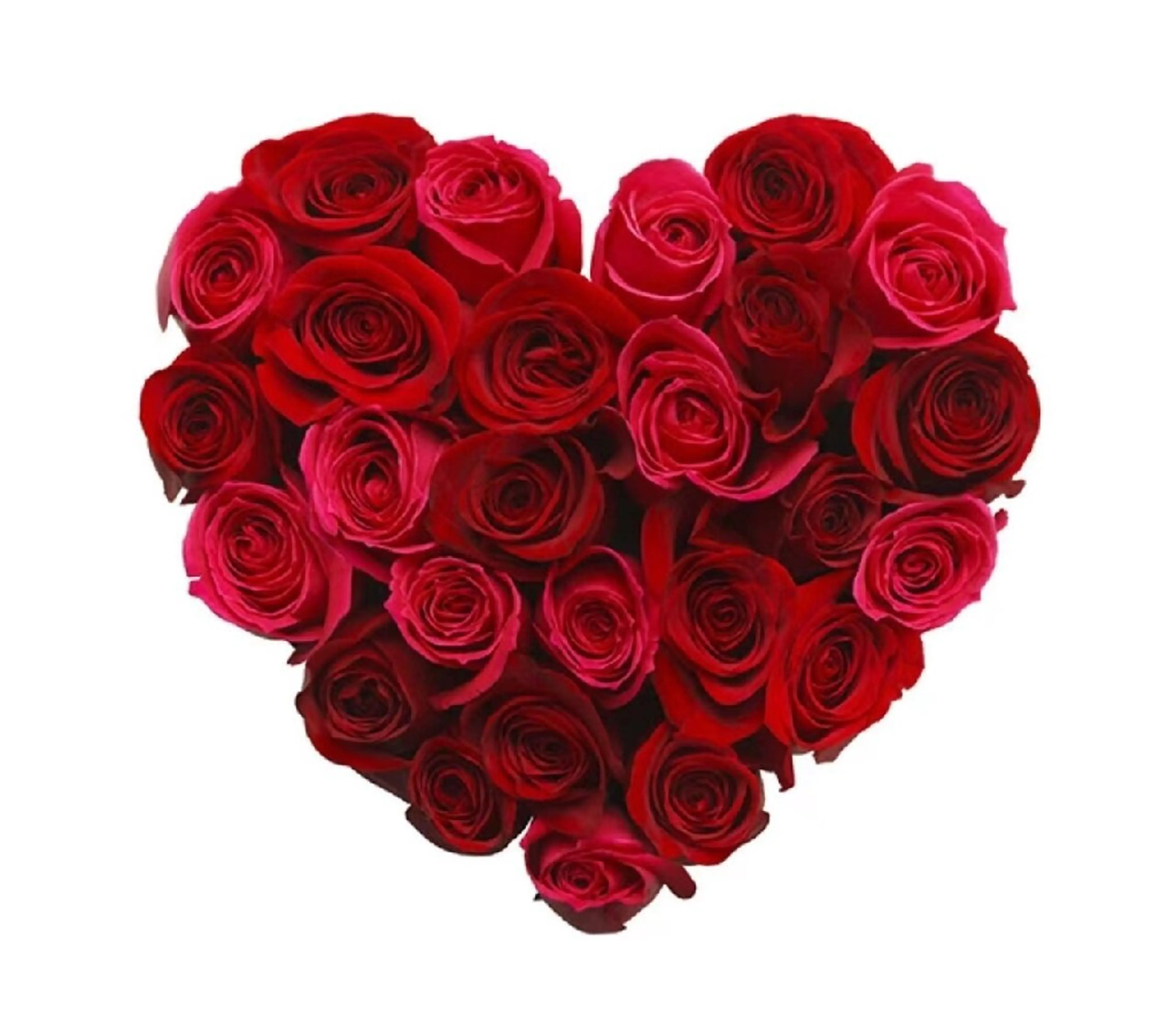 トータルビューティー サロンワンダーのマツエク・マツパデザイン