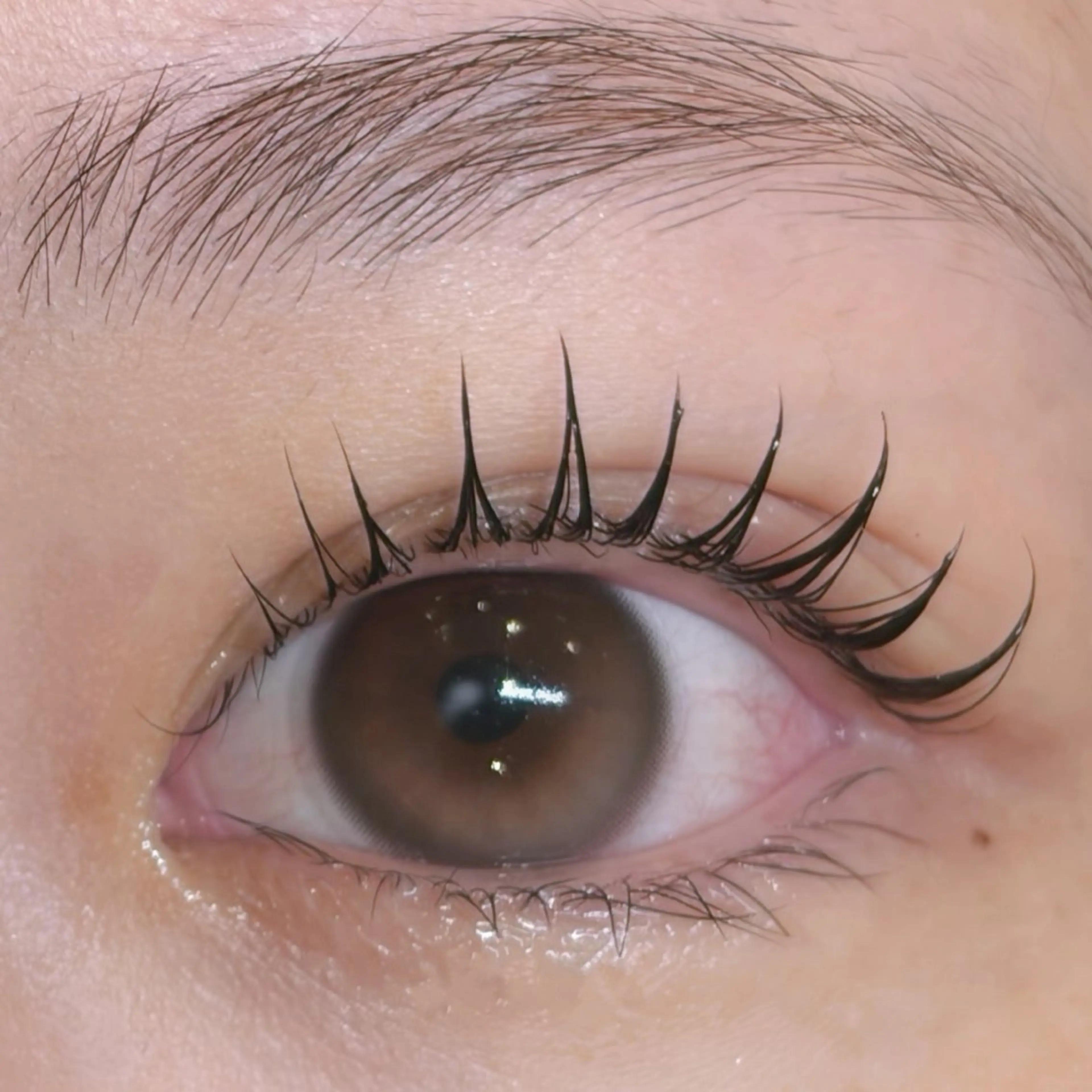 マツエク・マツパ 無料モデル募集 🌷akari🌷の眉毛・アイブロウイメージ