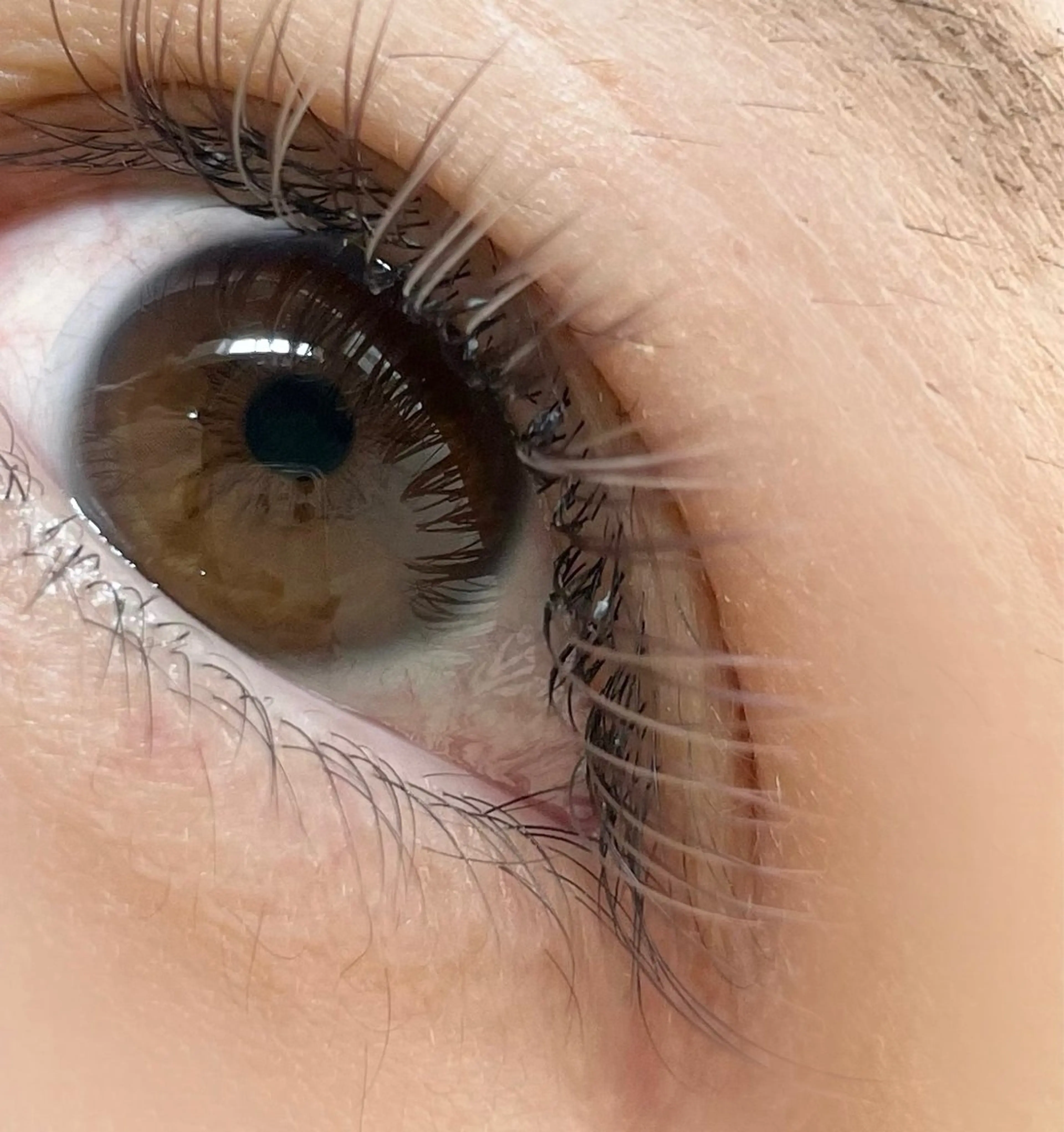 マツエク・マツパ salut ayakaのマツエク・マツパデザイン