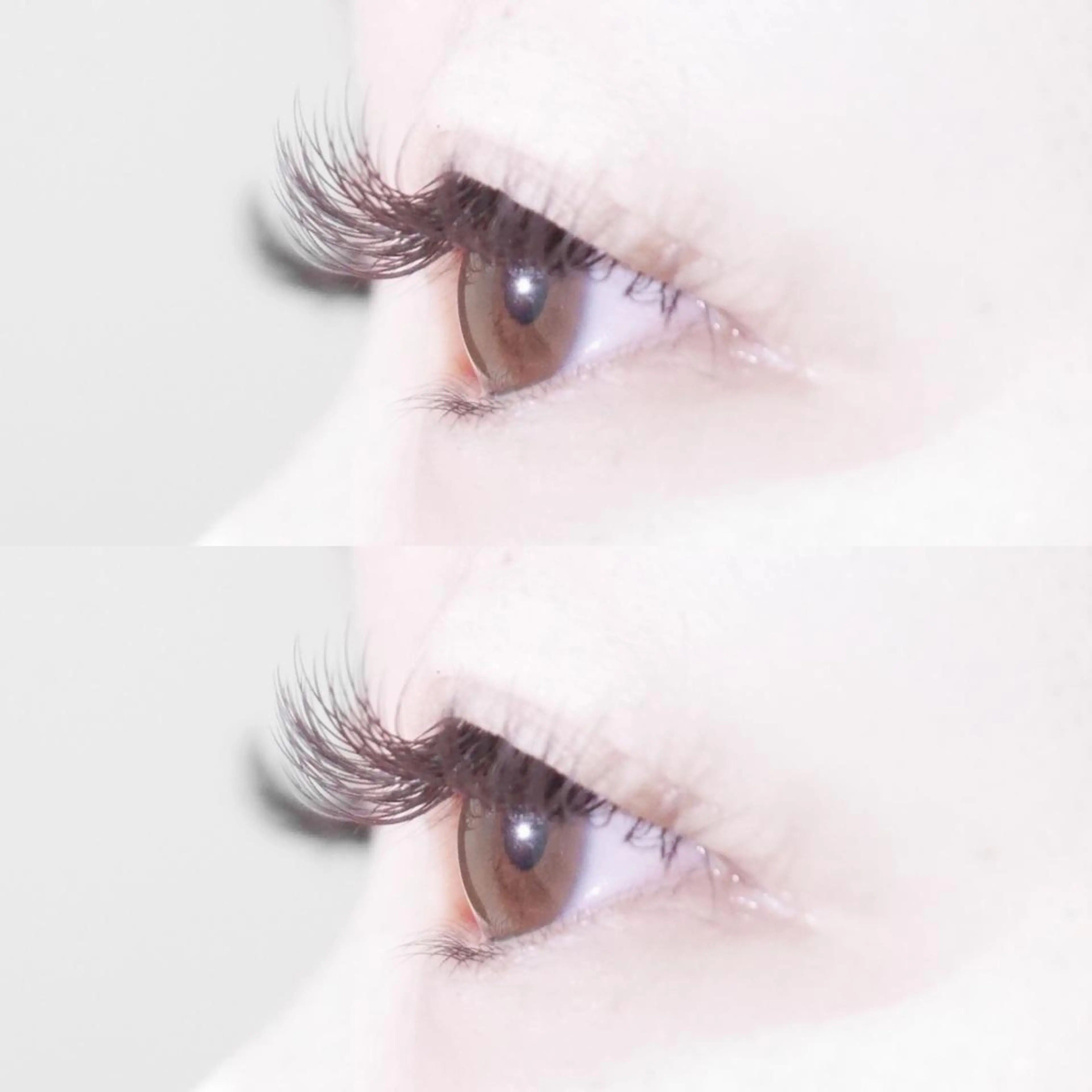 シングル付け足し30分付け放題の写真