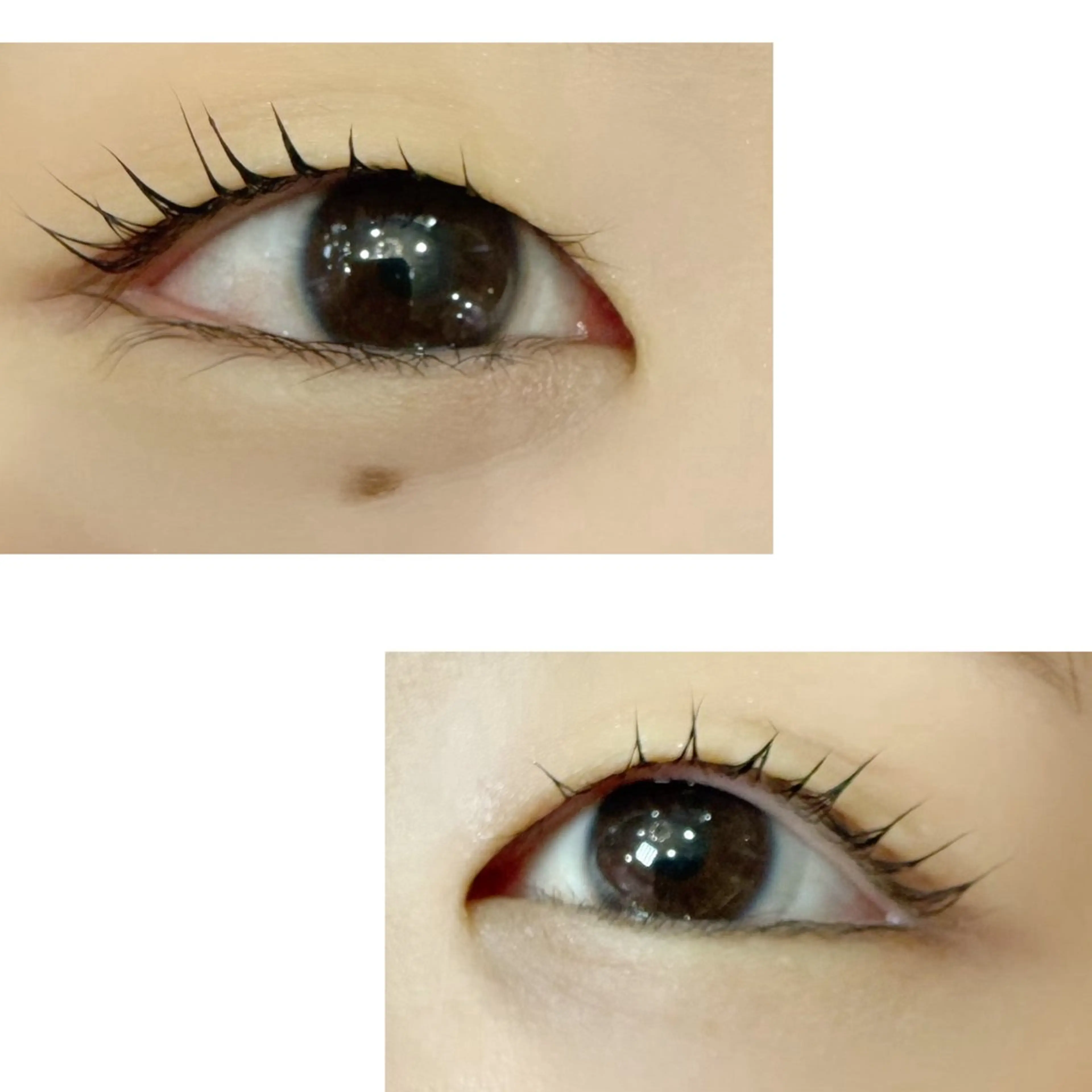 マツエク・マツパ まつげパーマ 一重×まつ毛パーマ 藤川 瑛梨奈のマツエク・マツパデザイン