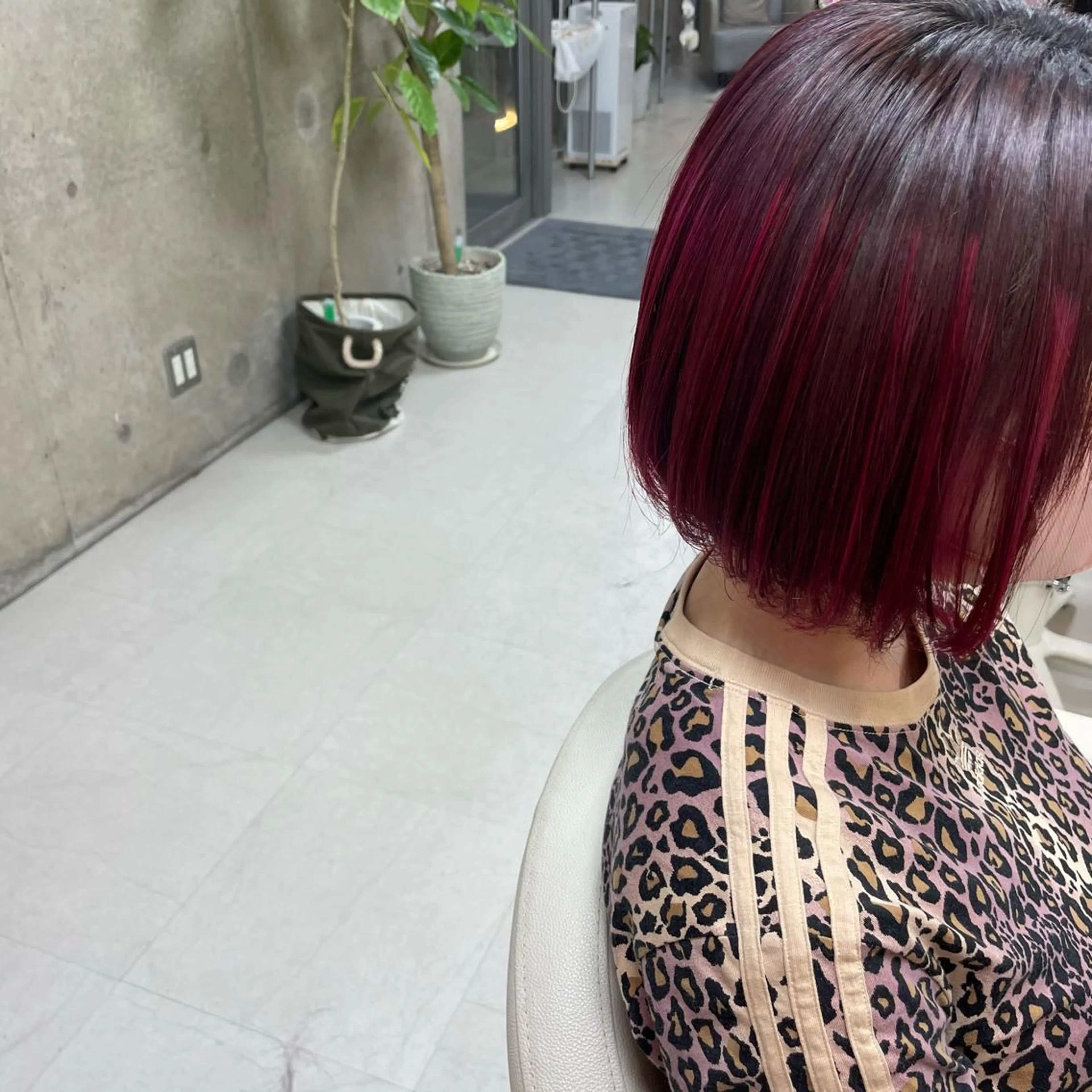 ショート カラー ヘアカラー 坂本 沙也加のヘアスタイル