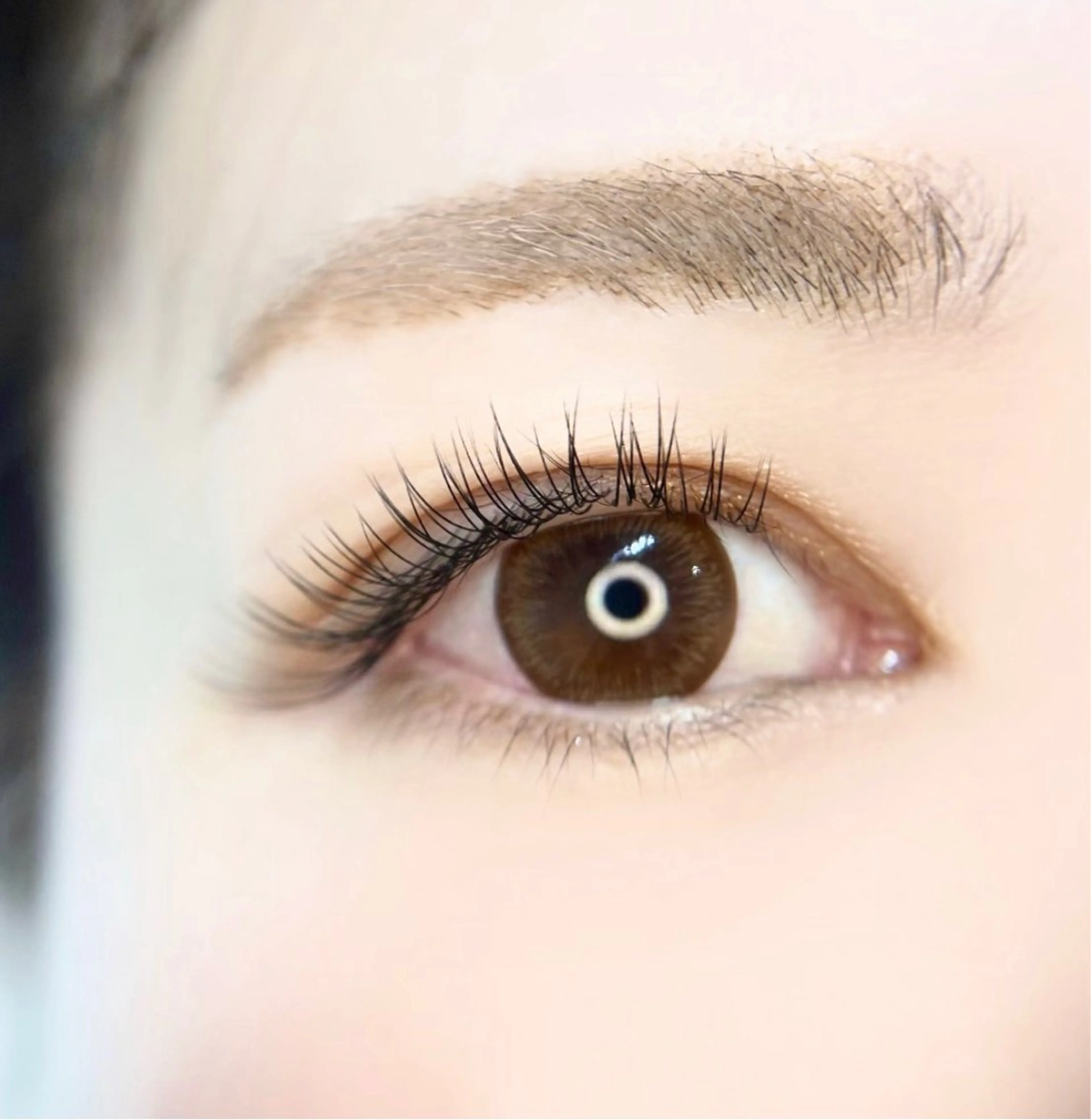 マツエク・マツパ フラットラッシュ マツエク Moeil. /ﾓｲﾕのマツエク・マツパデザイン