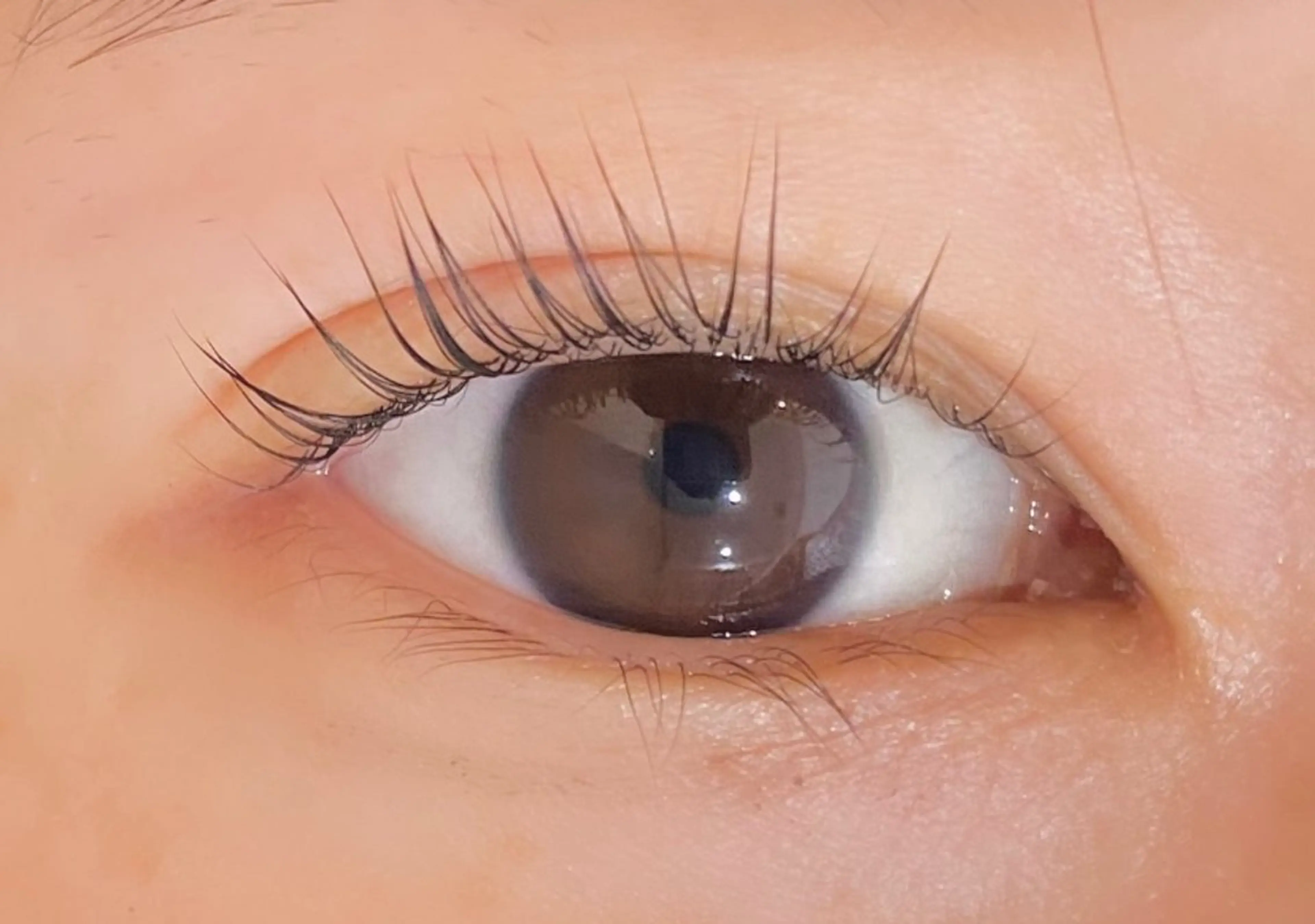 マツエク・マツパ Chipie オカモトの眉毛・アイブロウイメージ