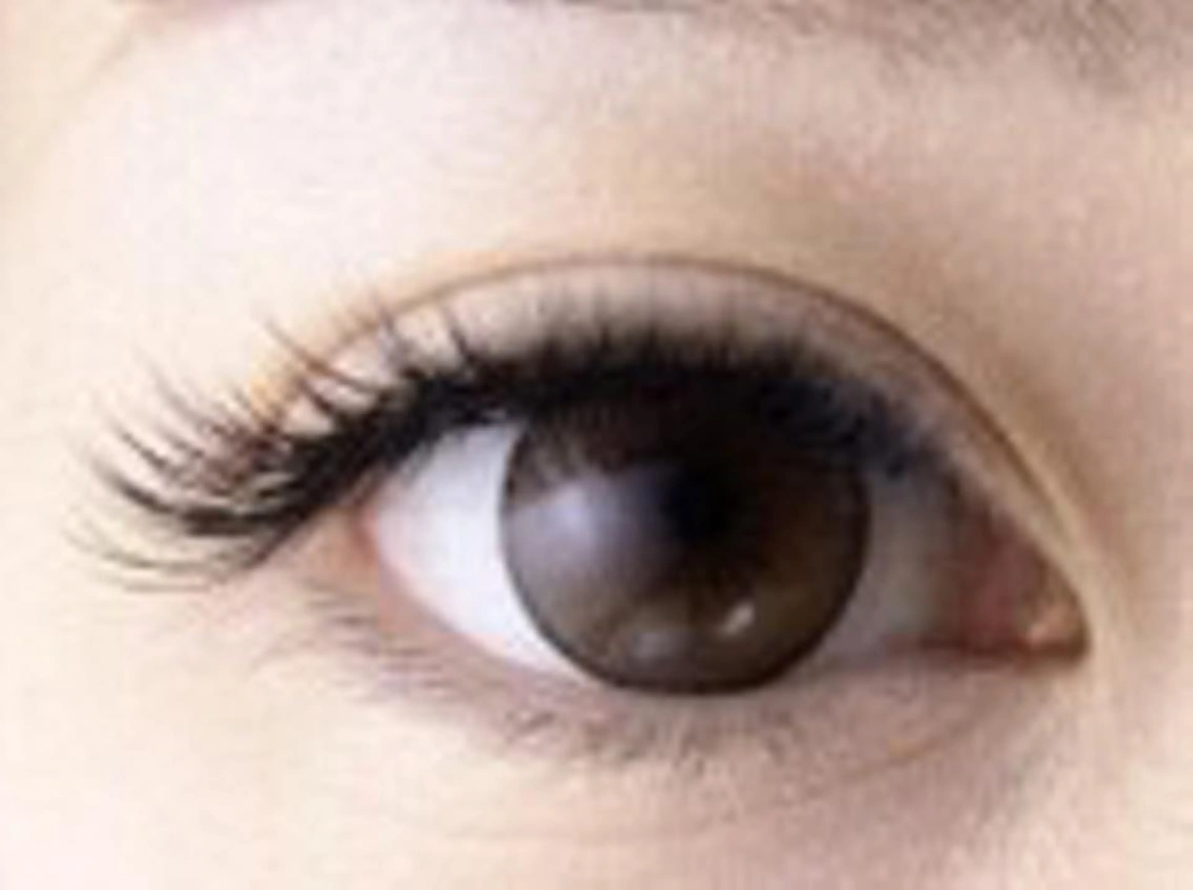 マツエク・マツパ ボリュームラッシュ ラシュヴン 上野店のマツエク・マツパデザイン