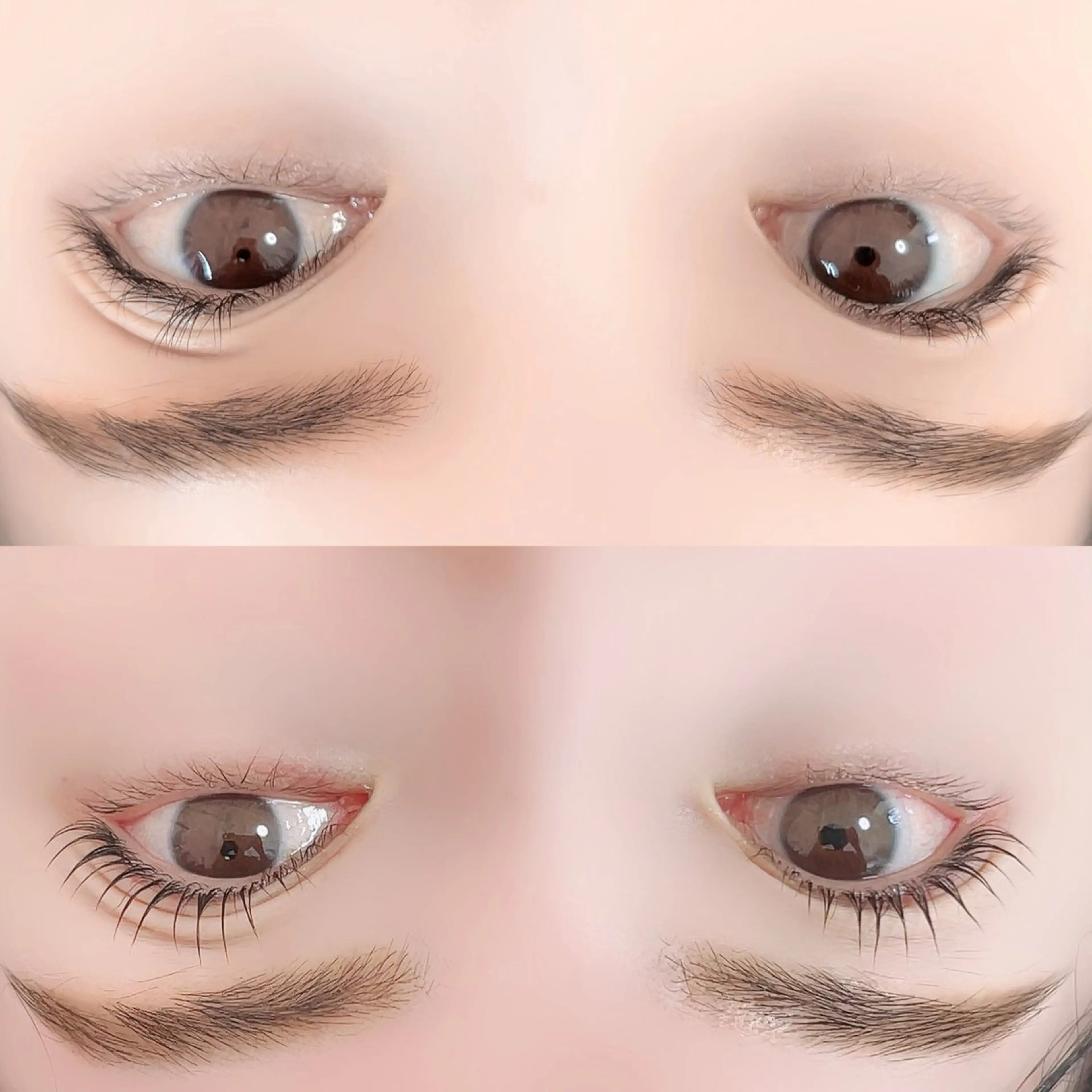 持ちの良さで好評です♡たっぷり栄養素ケラチン導入ラッシュリフト（まつげパーマ）持ちがよく1,5ヶ月ちゅるりんまつげ🌷の写真