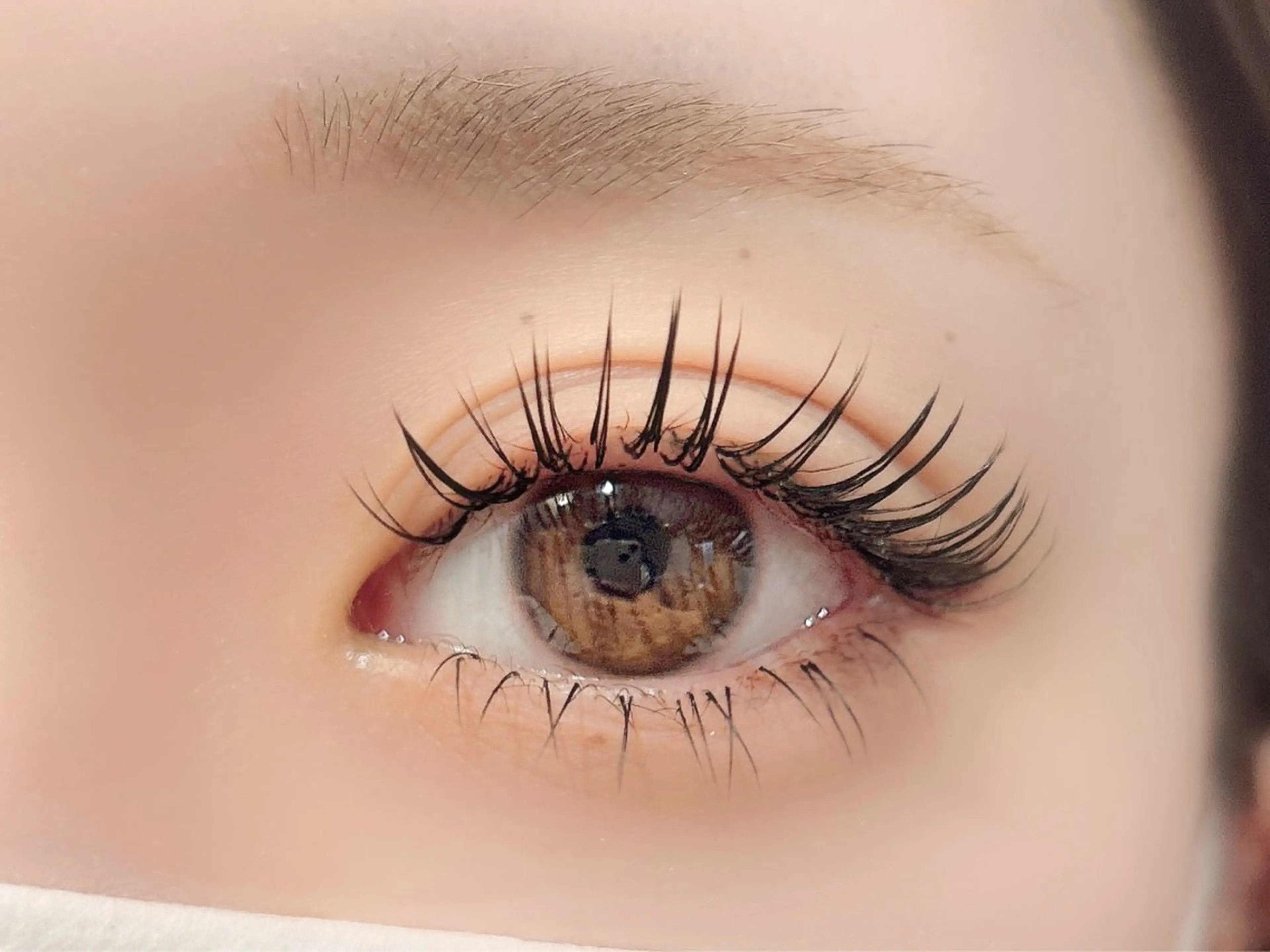 バインドロック160束の写真