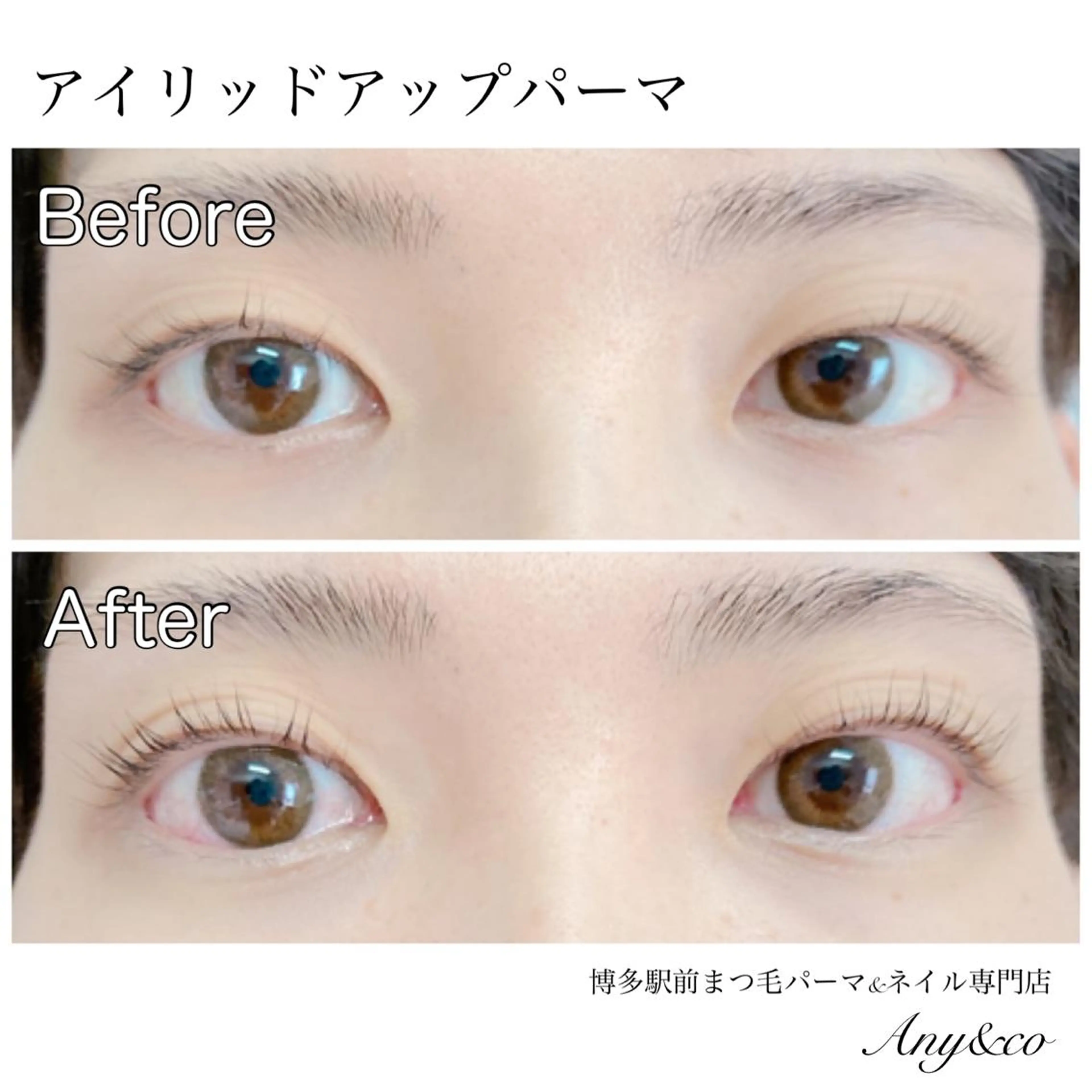 マツエク・マツパ アイリッドアップパーマ Any&co 【エニコ】のマツエク・マツパデザイン