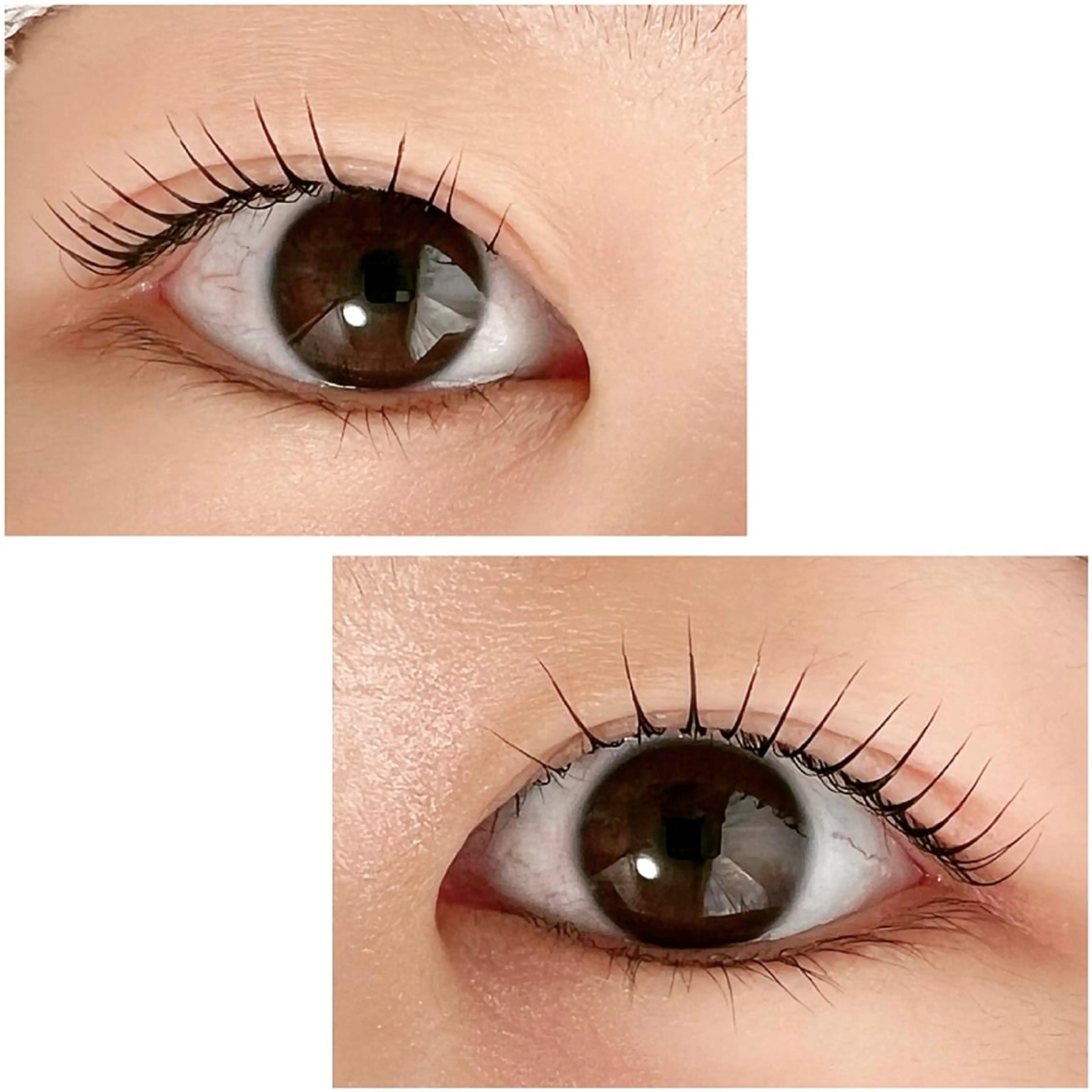 マツエク・マツパ Adorer(アドレ)所属・Adorer 🍀アドレ🍀のマツエク・マツパデザイン