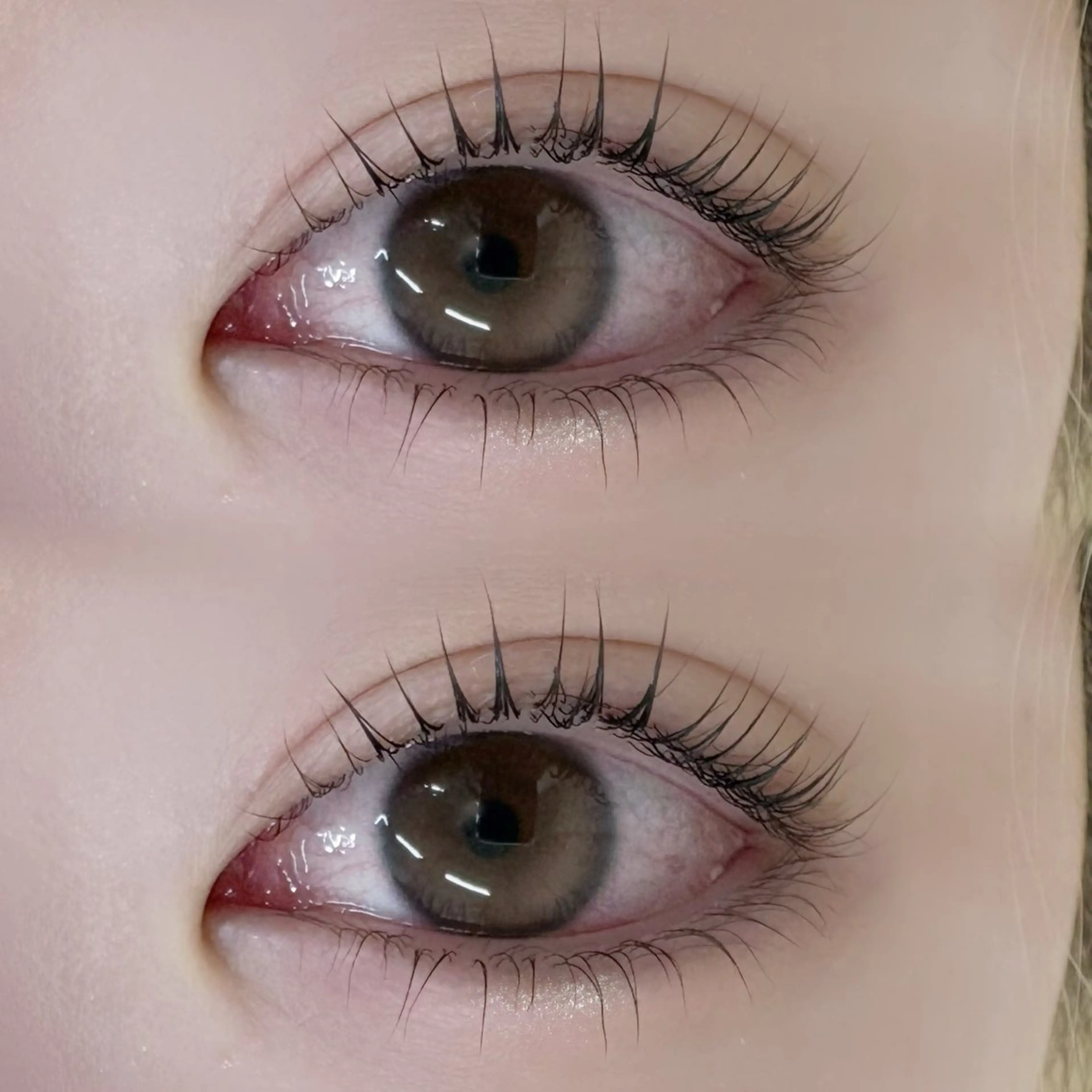 マツエク・マツパ Bianca 長津田 YUKI🍀.⋆のマツエク・マツパデザイン