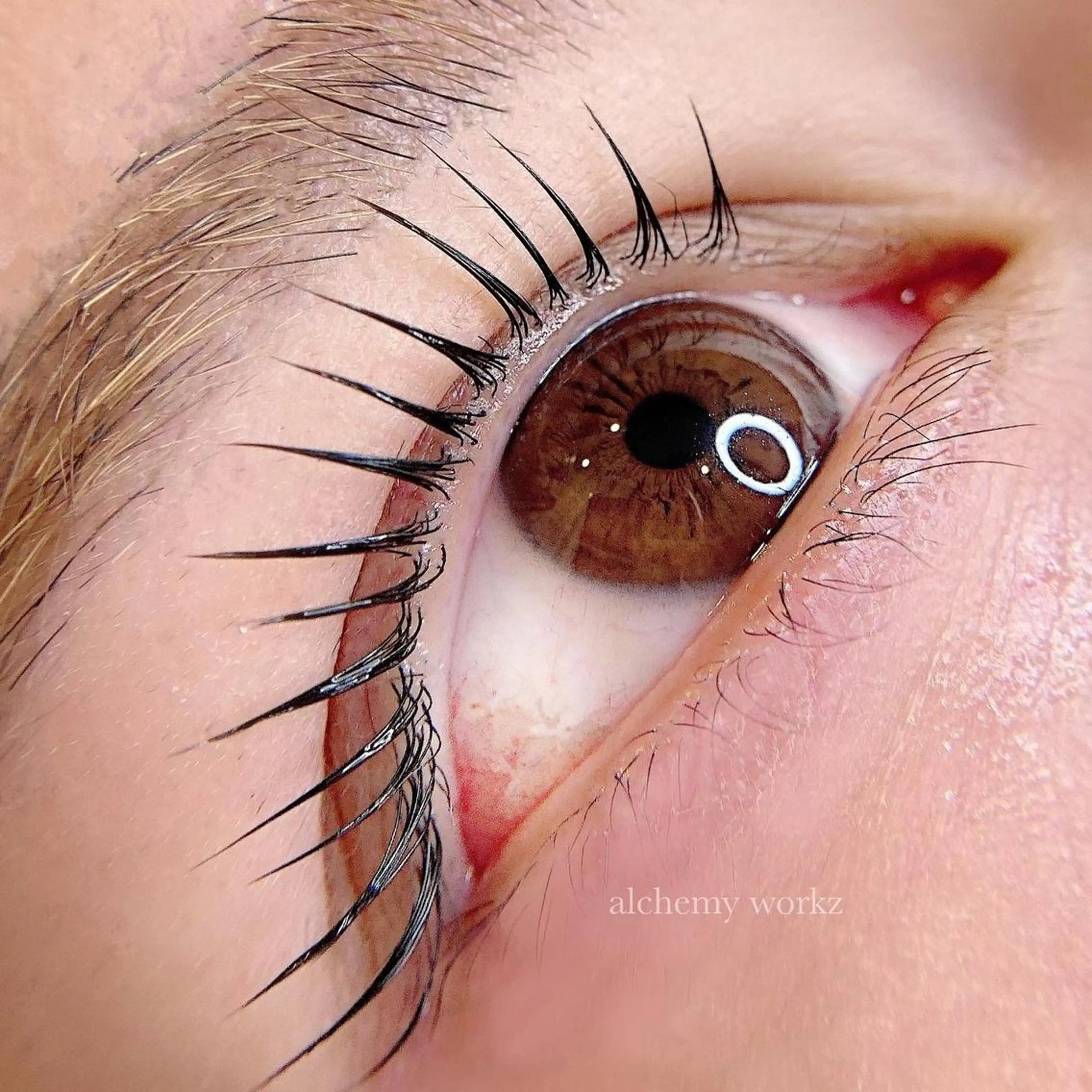 マツエク・マツパ マツパ alchemy workzのマツエク・マツパデザイン