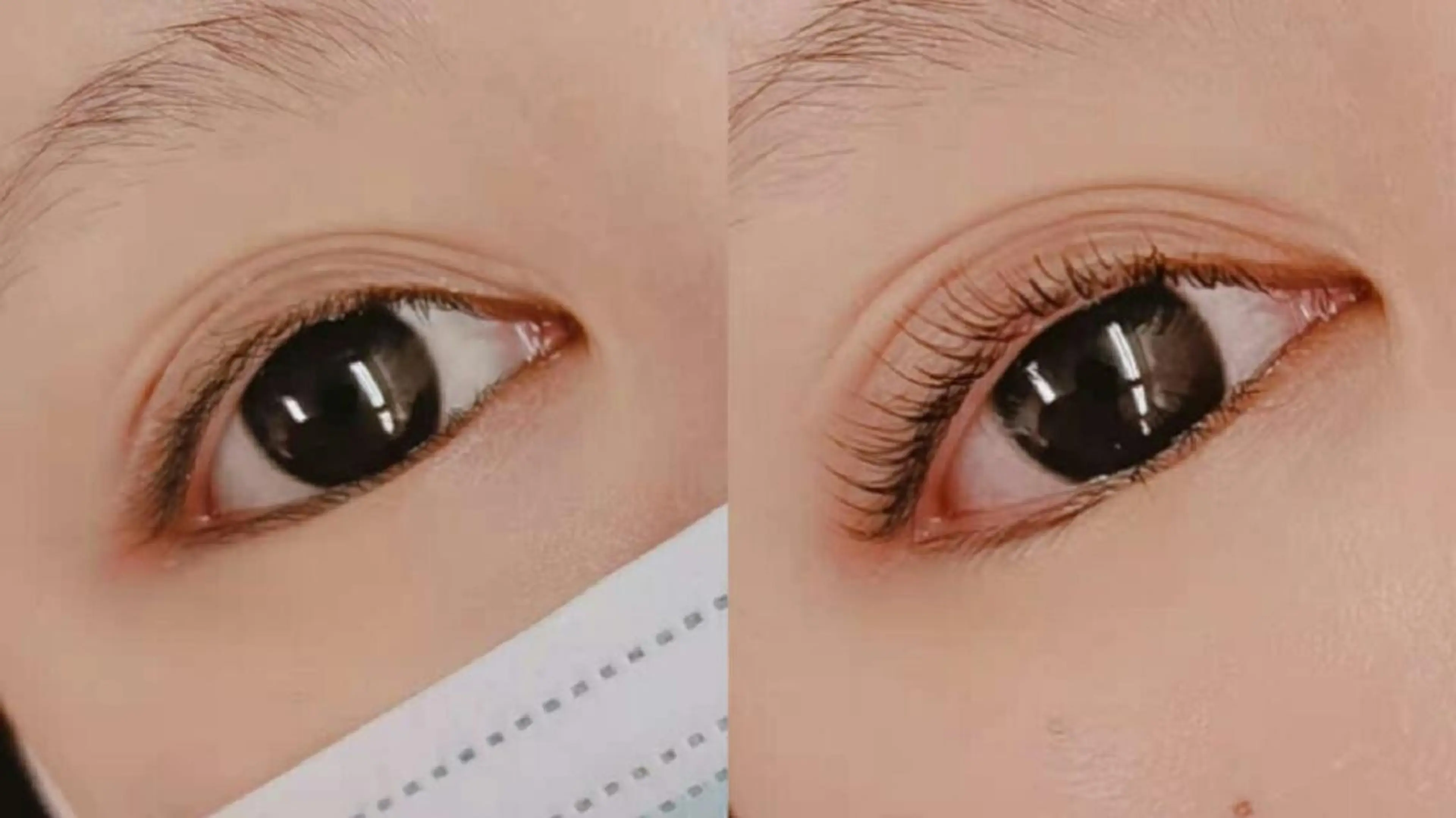 マツエク・マツパ まつげパーマ 胡蝶蘭レディースサロ ン眉マツパエクステの眉毛・アイブロウイメージ