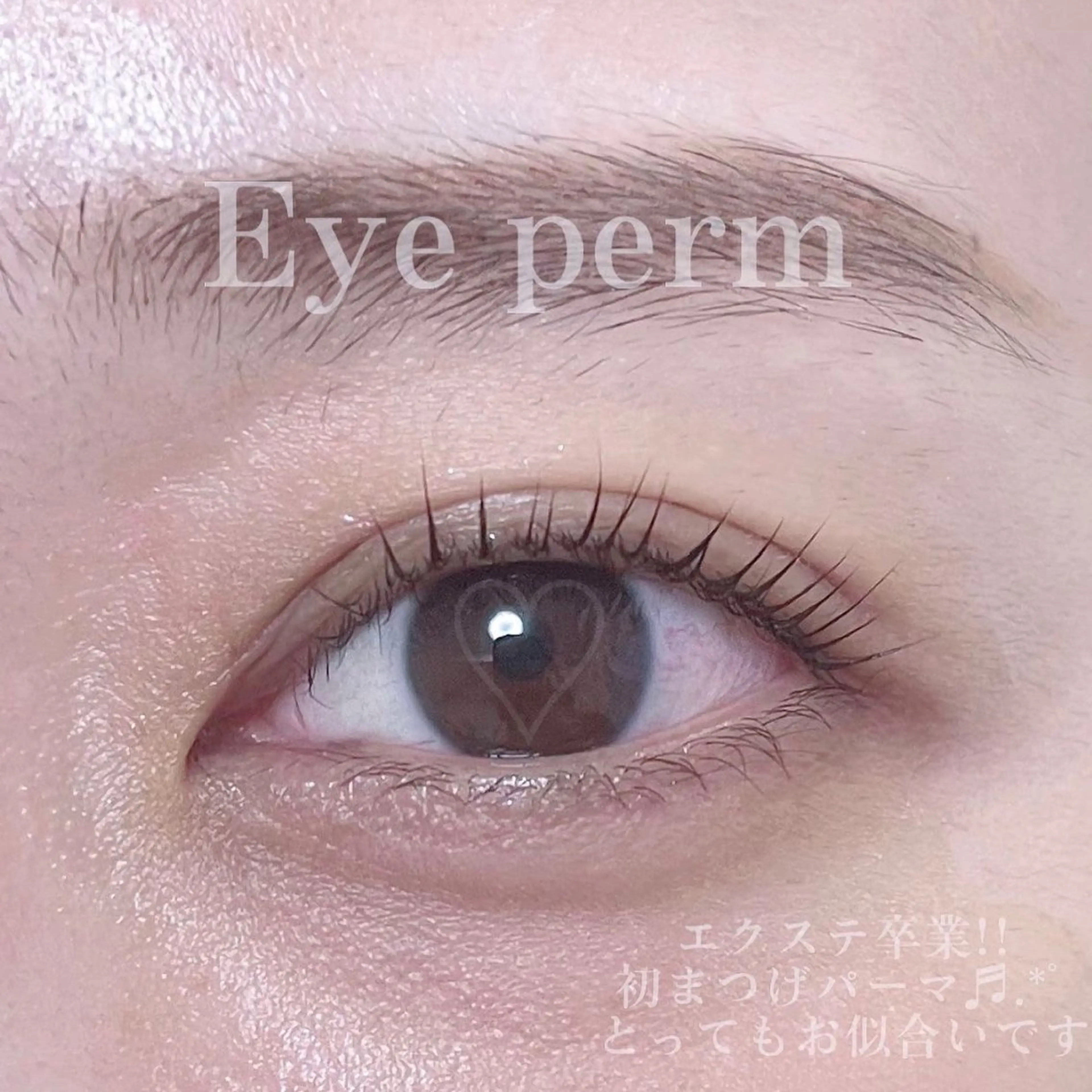 マツエク・マツパ まつげパーマ Swallow 広島店のマツエク・マツパデザイン