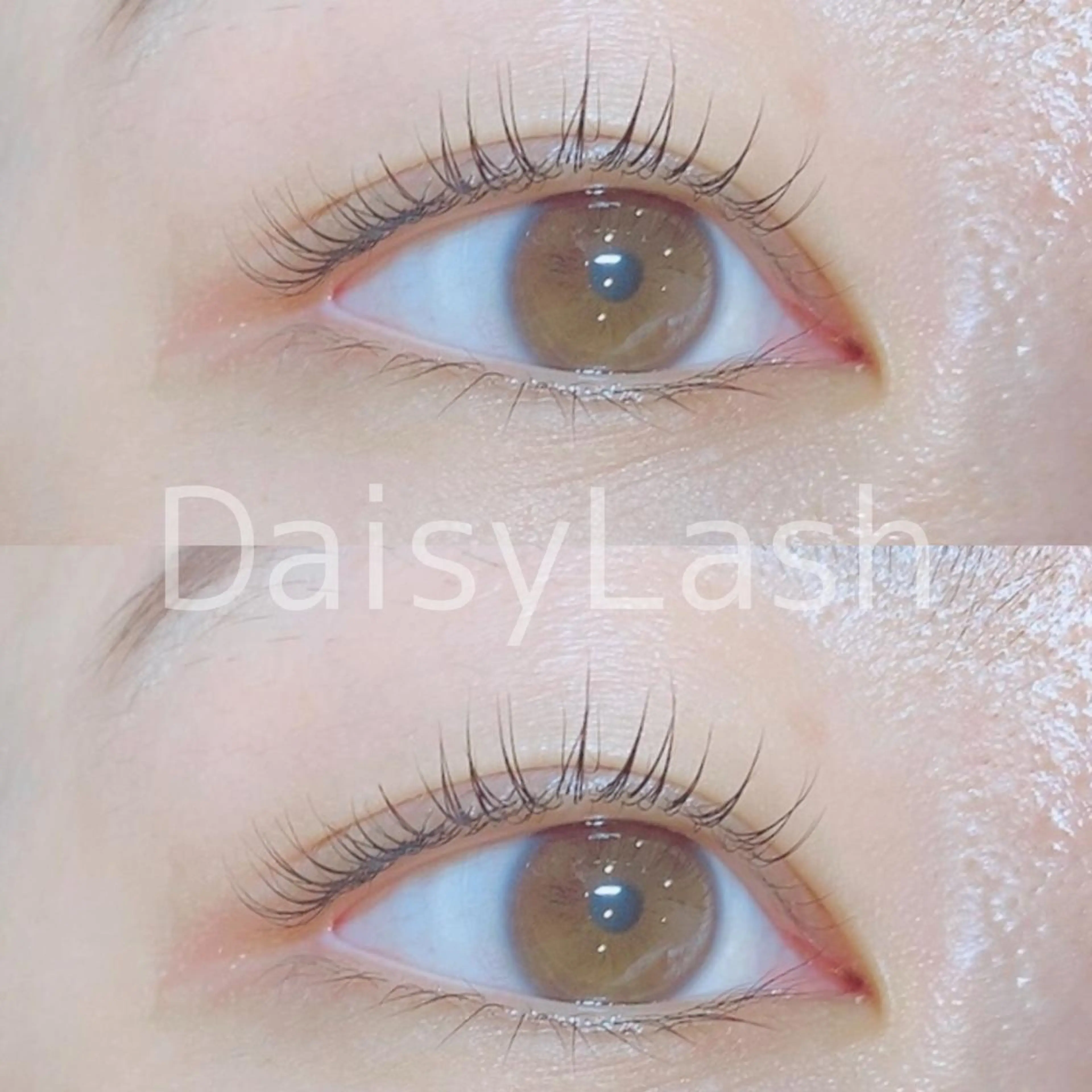 マツエク・マツパ DaisyLash 京橋店のマツエク・マツパデザイン