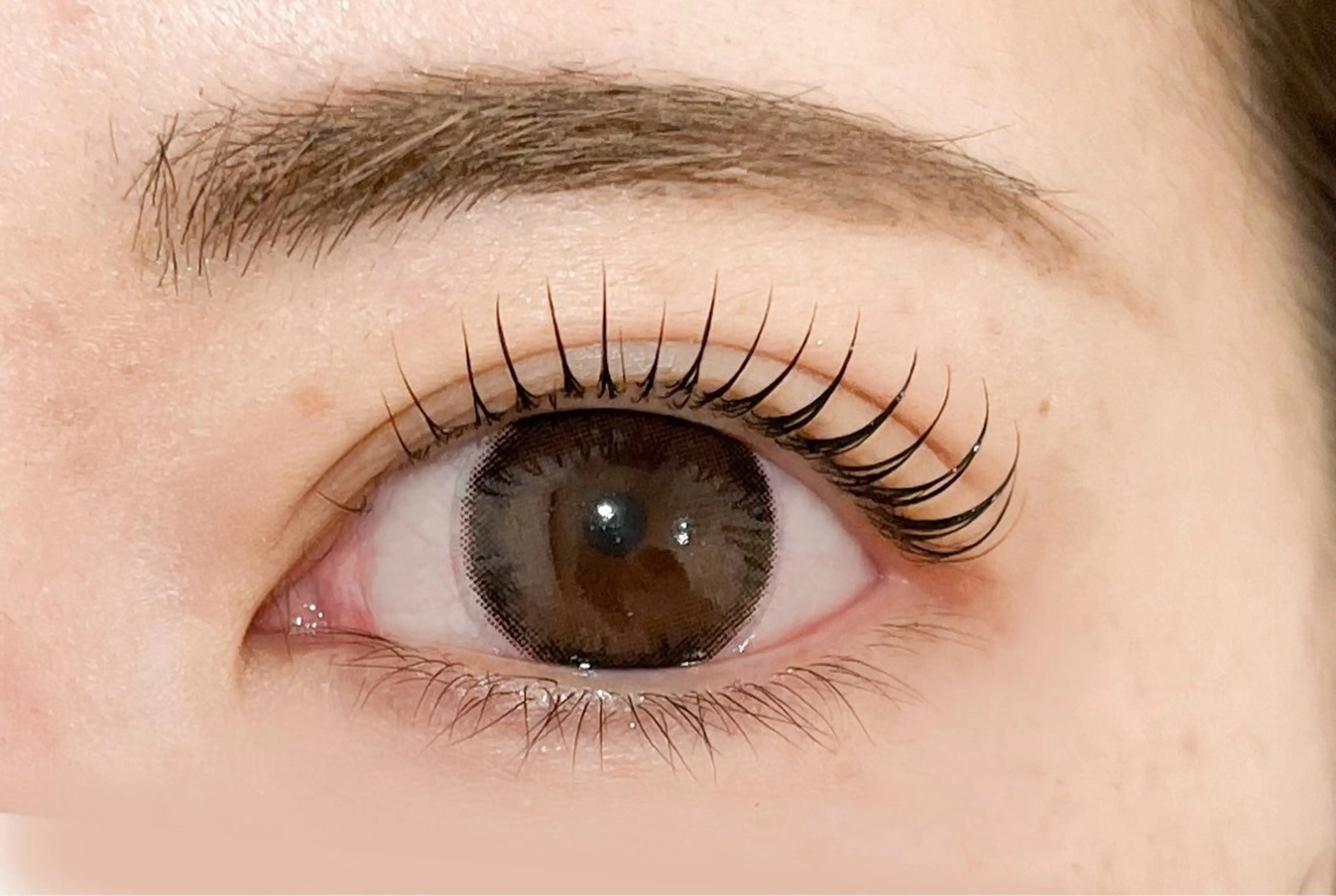 マツエク・マツパ マツパ 𓂃◌𓈒𓐍 shioriの眉毛・アイブロウイメージ