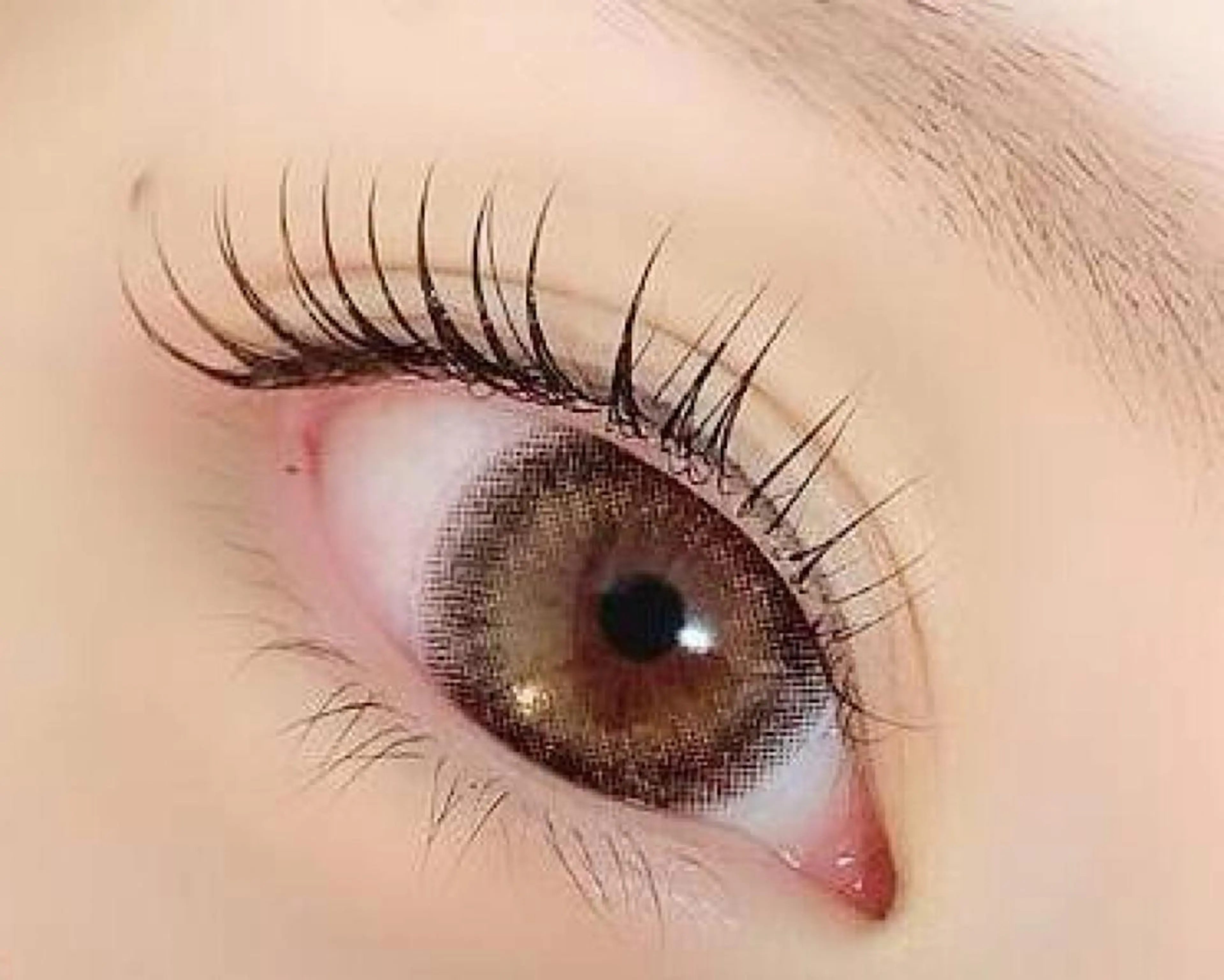 長いまつ毛をより魅力的に✨エレガンスリフトアップ✨長いまつ毛を活かしたゴージャスリッチな目元に❣️5460円の写真