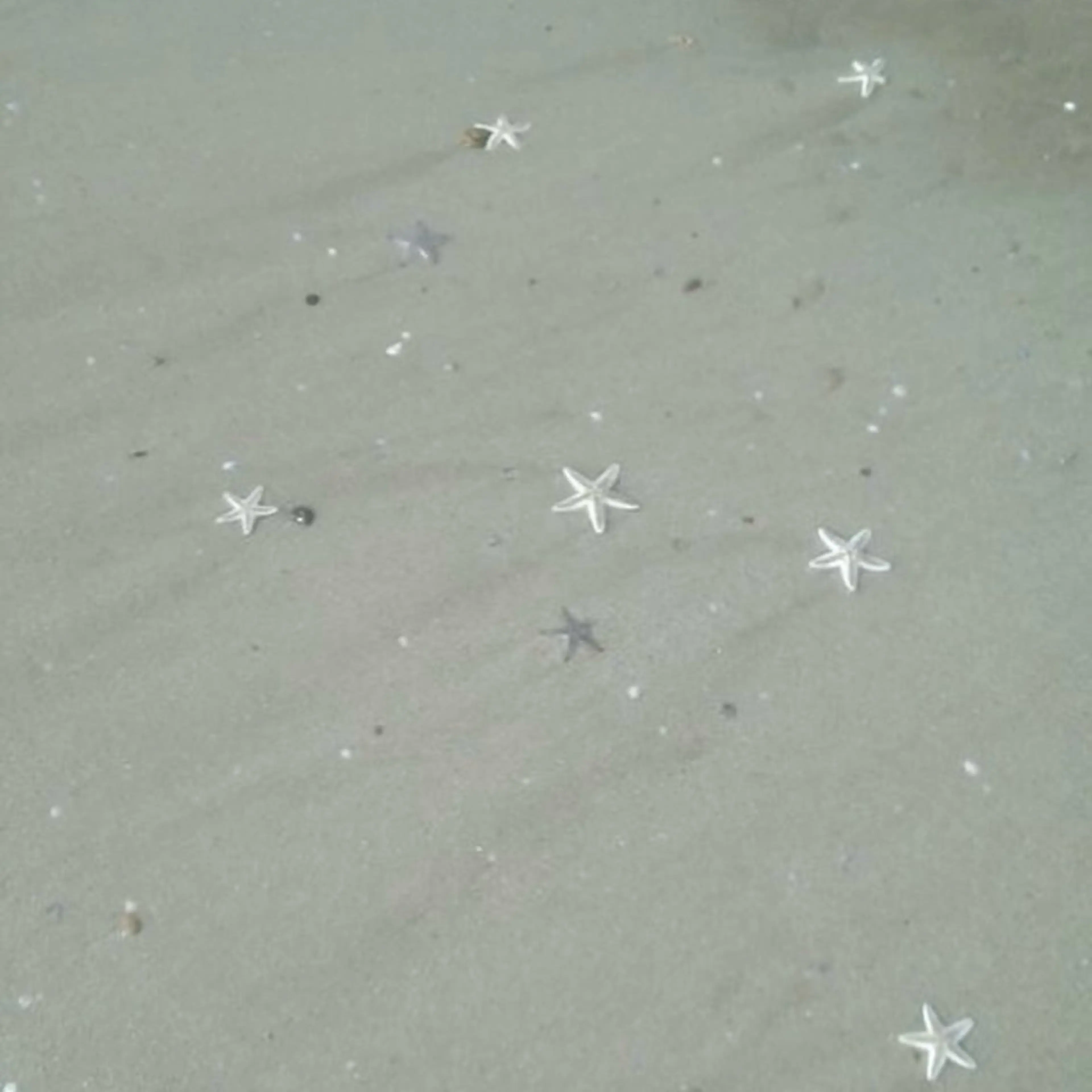 ネイル nail salon Mii［ミィ］所属・nail salon Miiのネイルデザイン