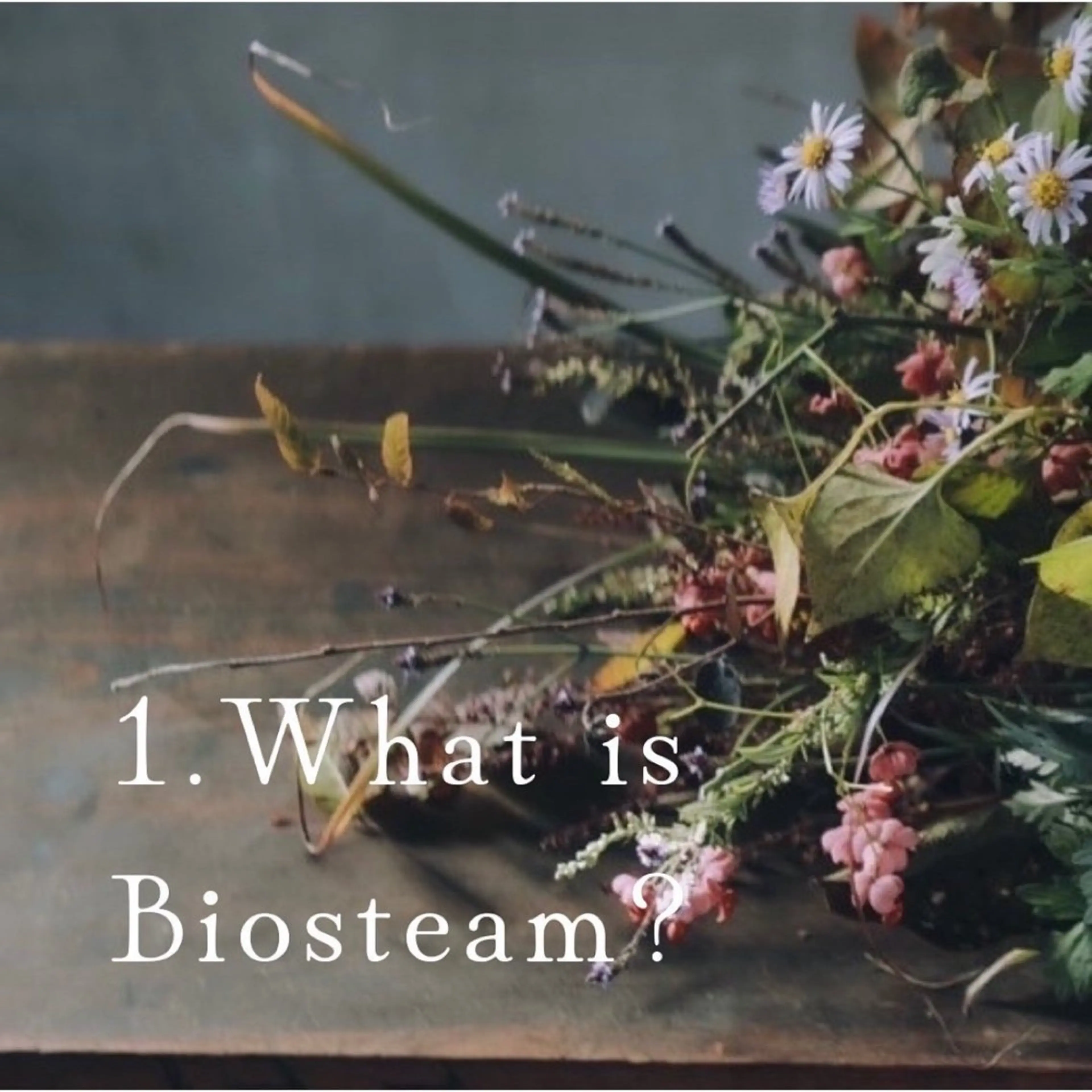 Sakurai Rieのエステ・リラクイメージ