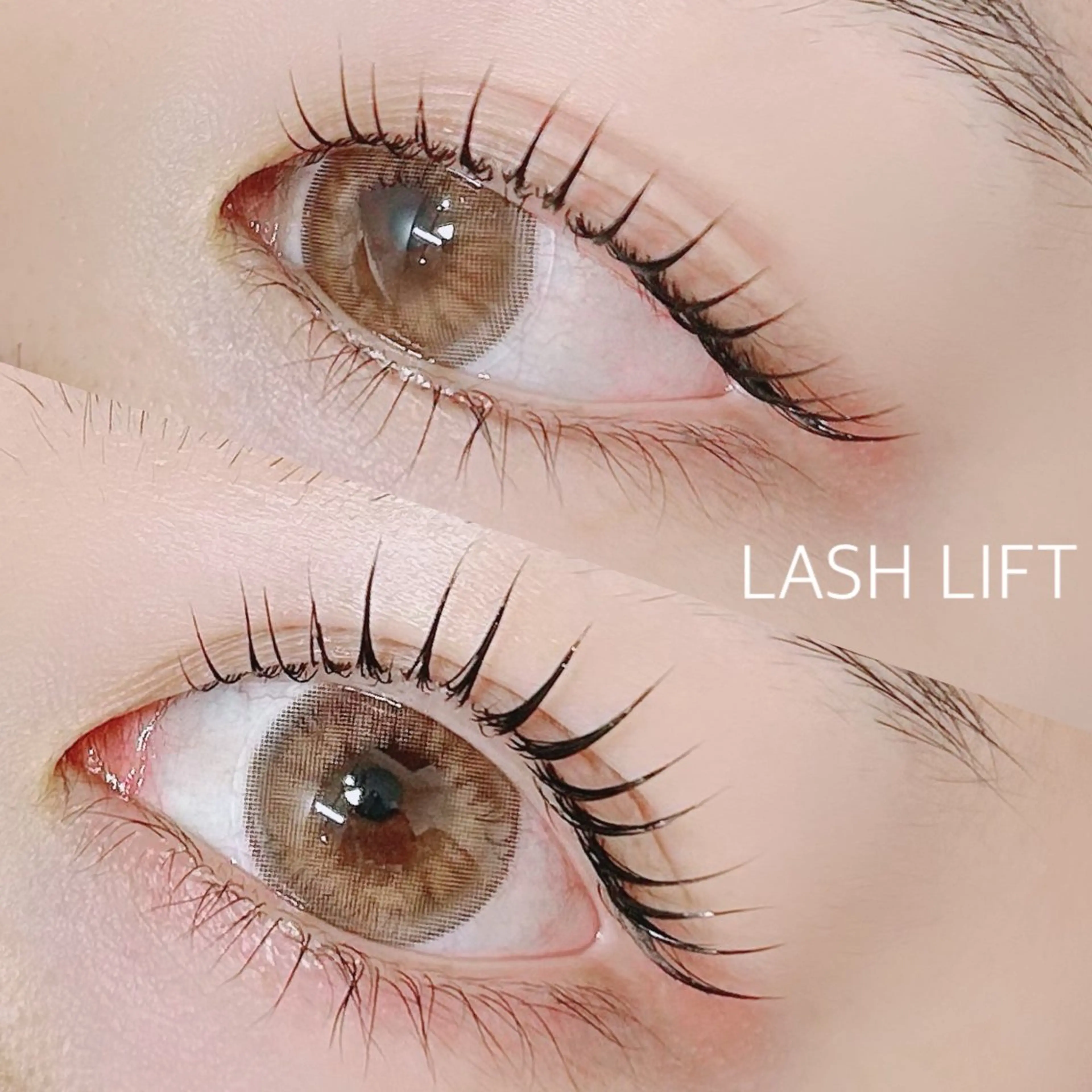 【4月限定🫧】ラッシュリフト＋ブロウワックス [ デザイン自由 ]の写真