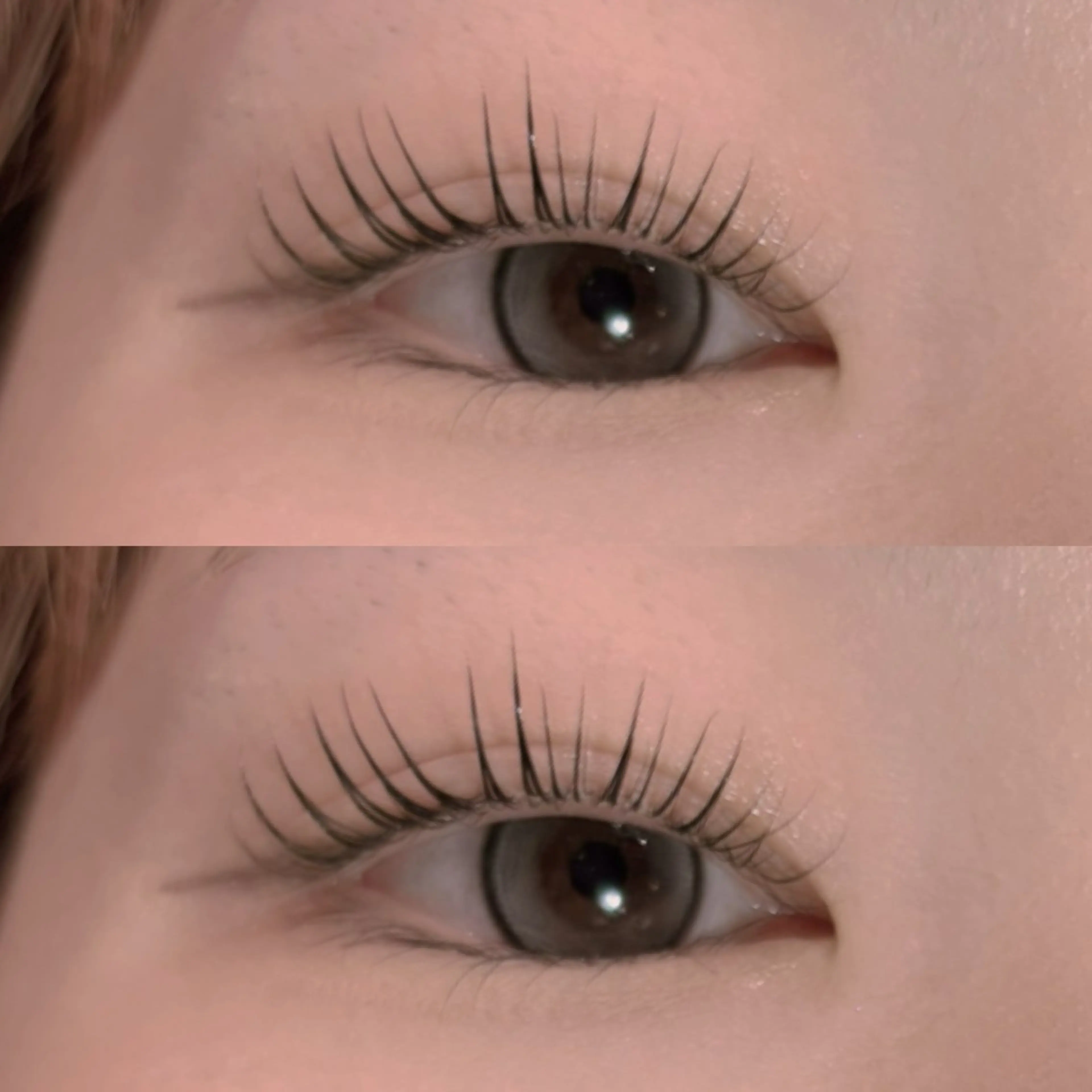 🦋パリジェンヌラッシュリフト🦋の写真