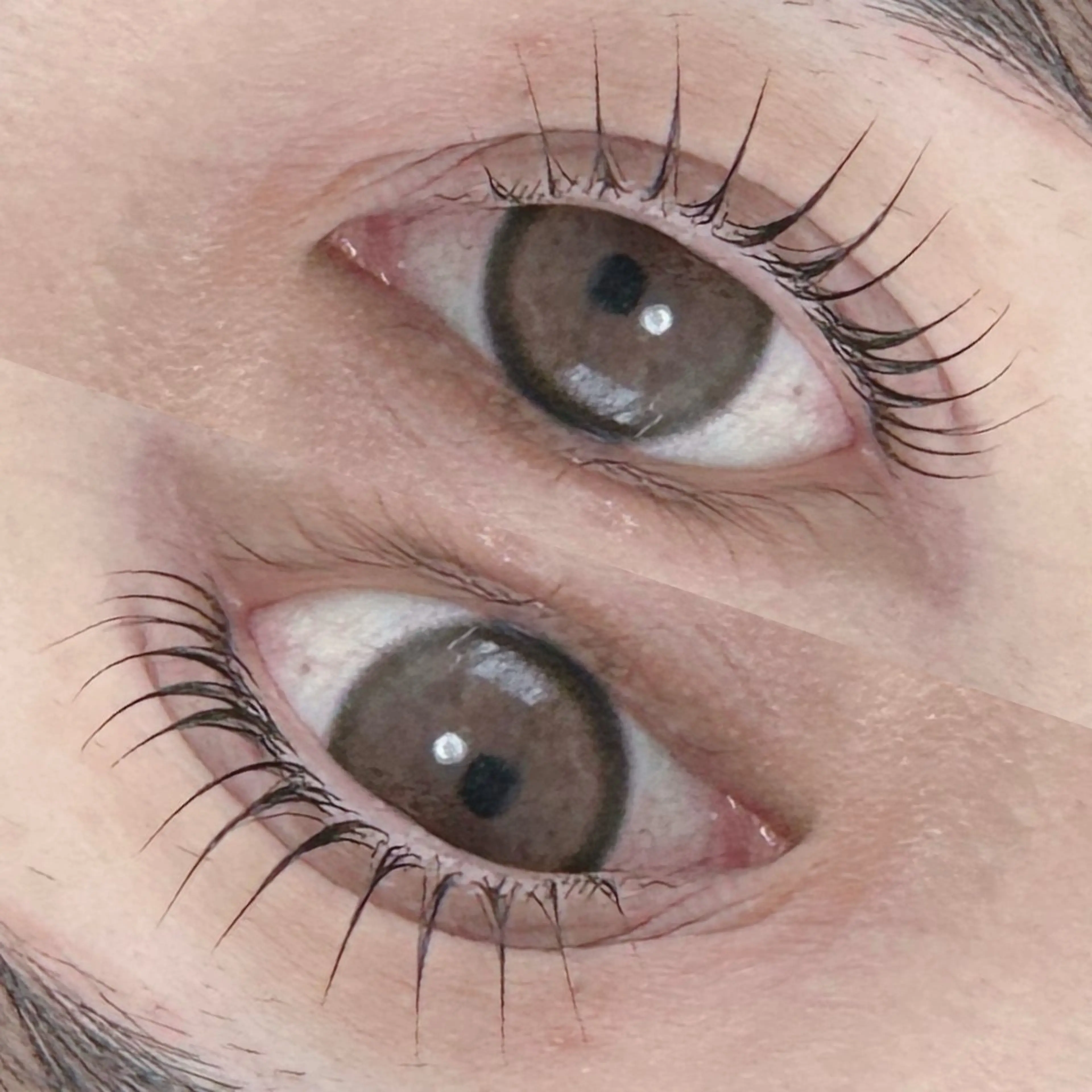 🔹先着1日2名様限定🔹パリジェンヌ 通常¥5500→¥4200の写真