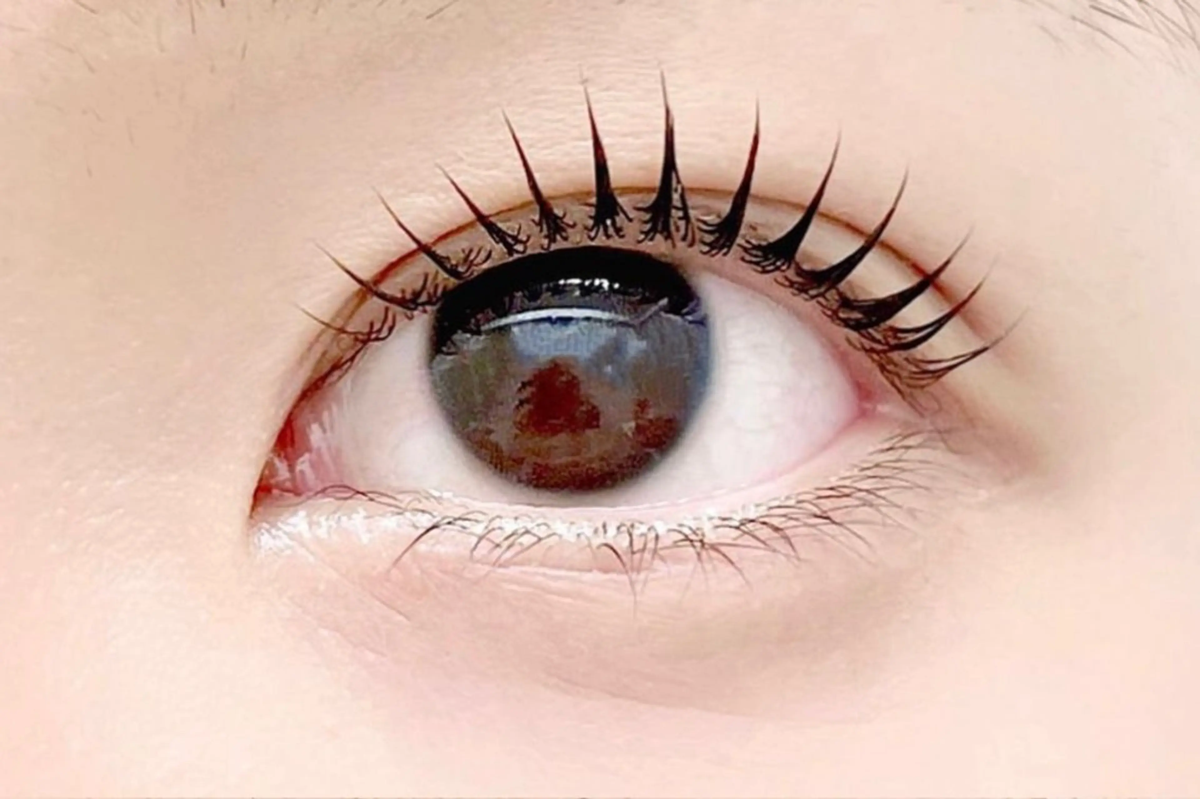 ▼ 似合わせまつ毛パーマ(高濃度TR+コーティング付き)の写真