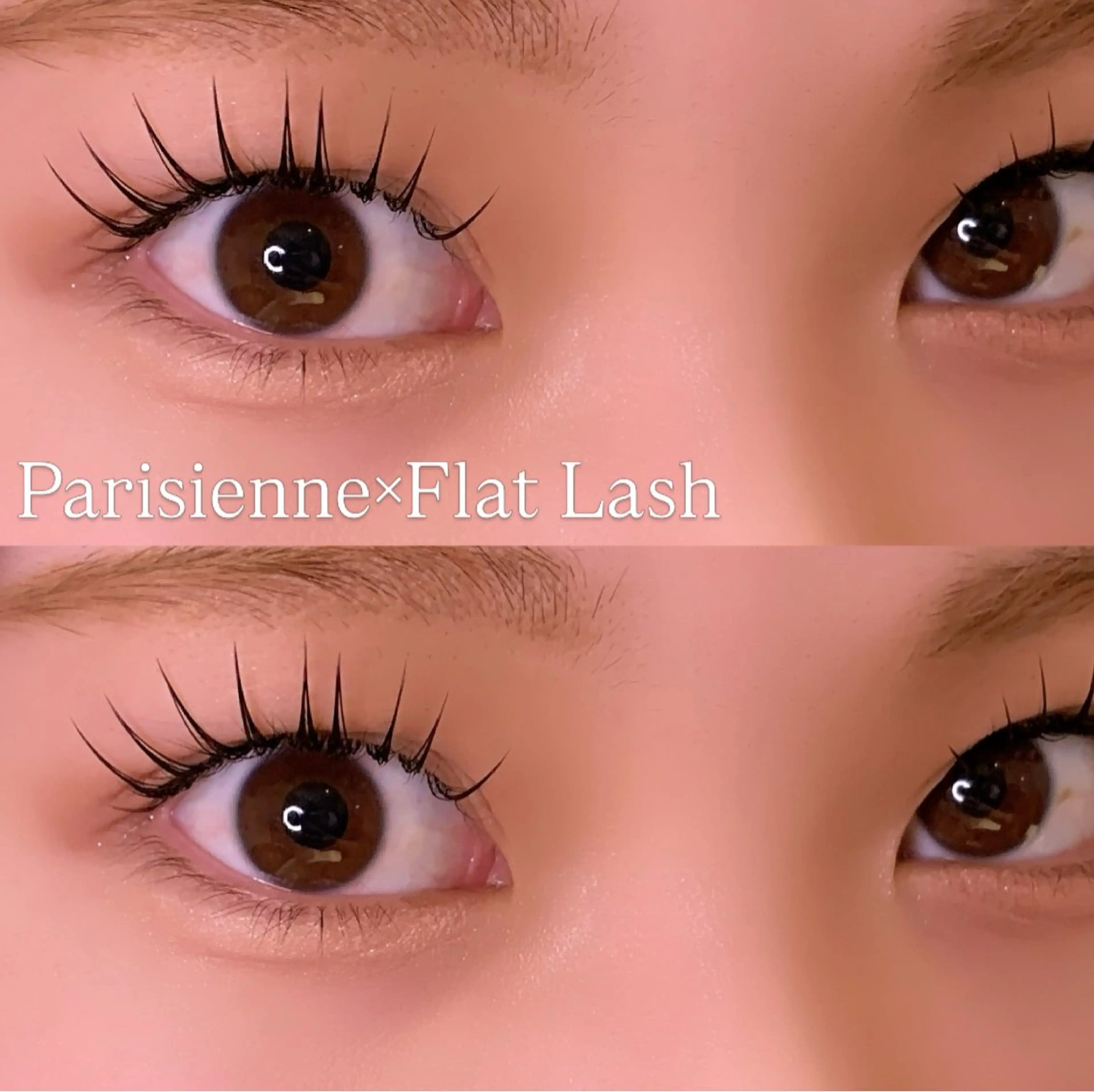 マツエク・マツパ フラットラッシュ パリジェンヌラッシュリフト マツエク Ayumi.pro 🍆N《4階》のマツエク・マツパデザイン