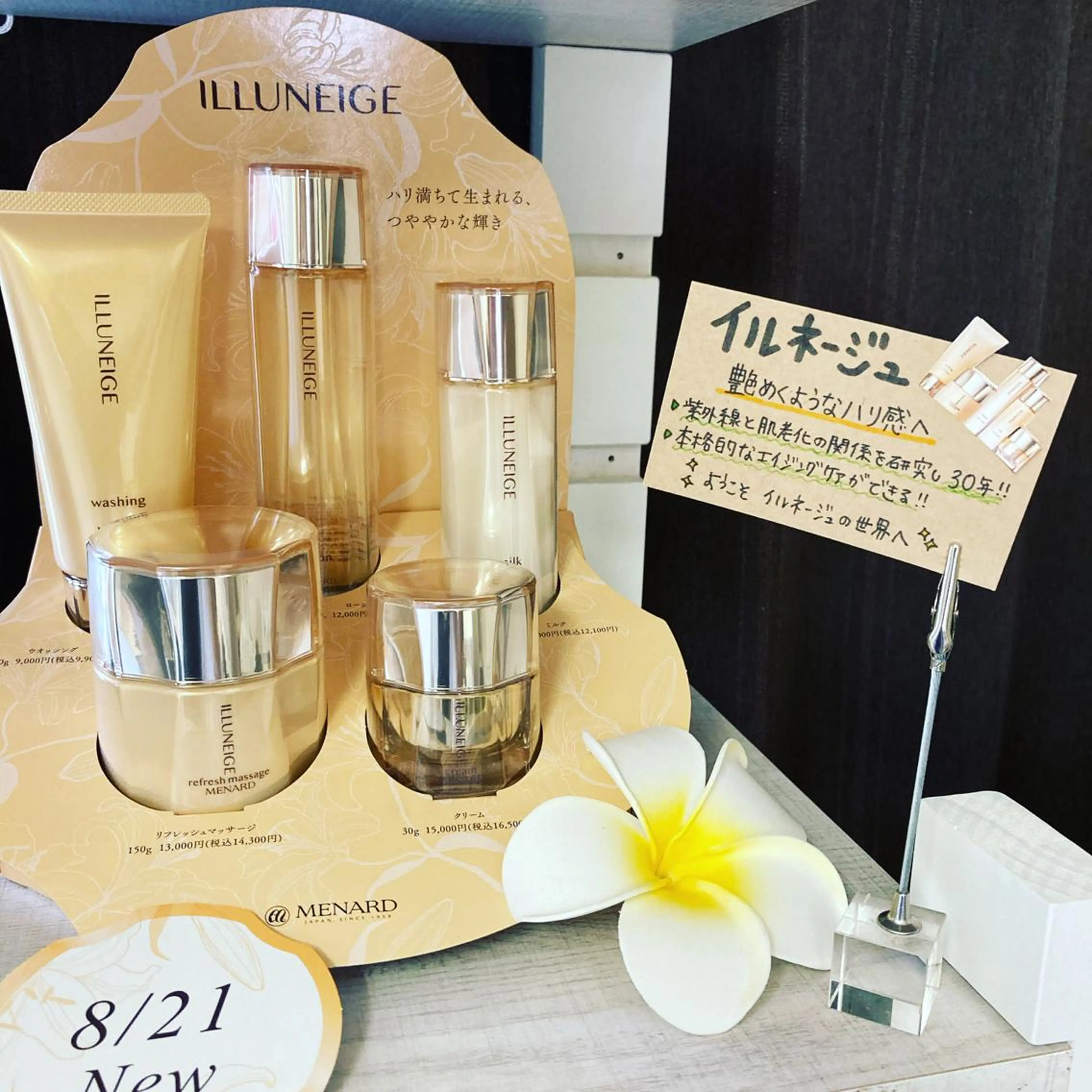 《リピーター様向け》ビジター様専用❇️イルネージュの写真