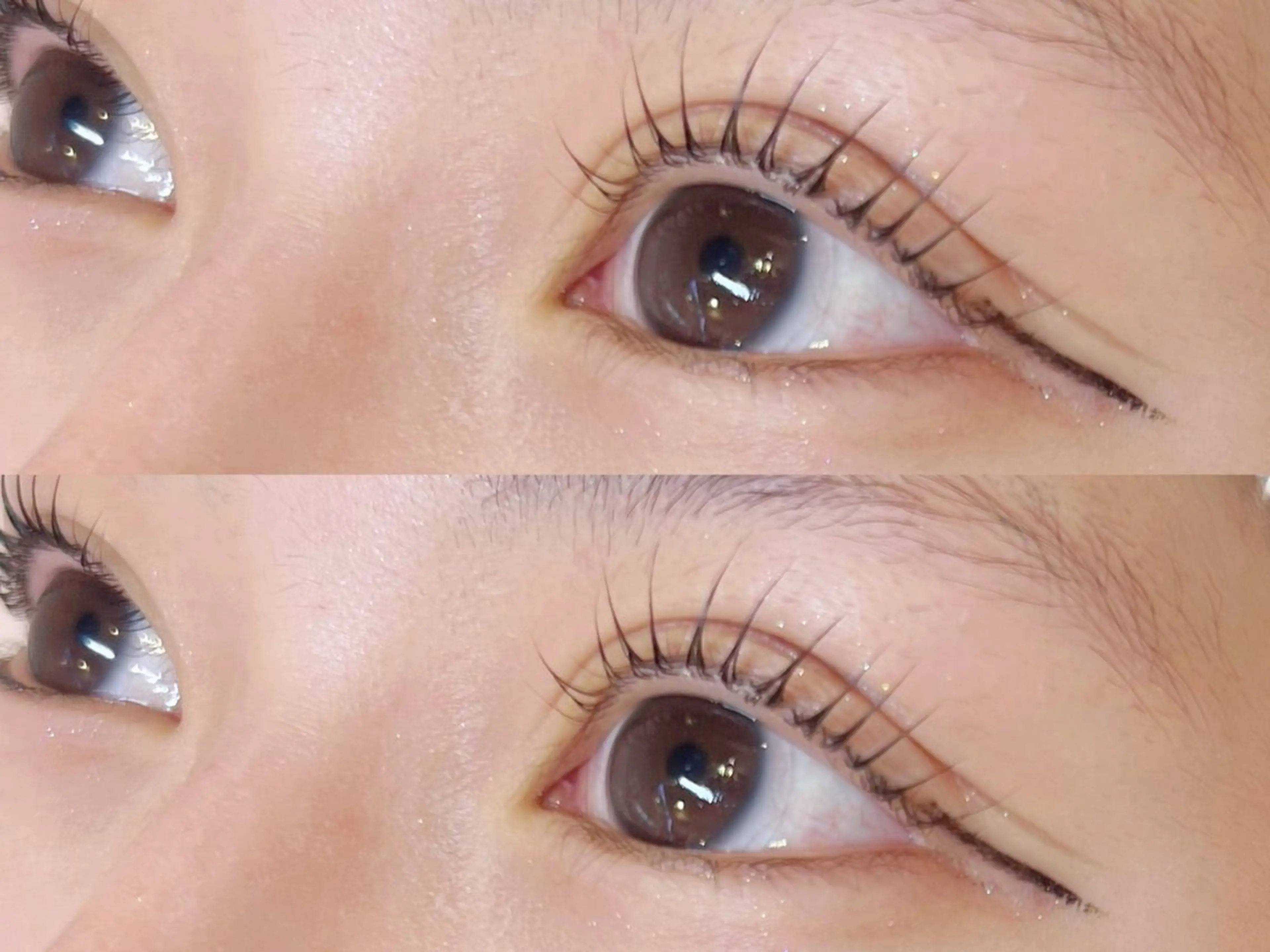 ✨️ご新規様✨️🇫🇷🫧パリジェンヌラッシュリフト🫧🇫🇷【コーティング付き】の写真