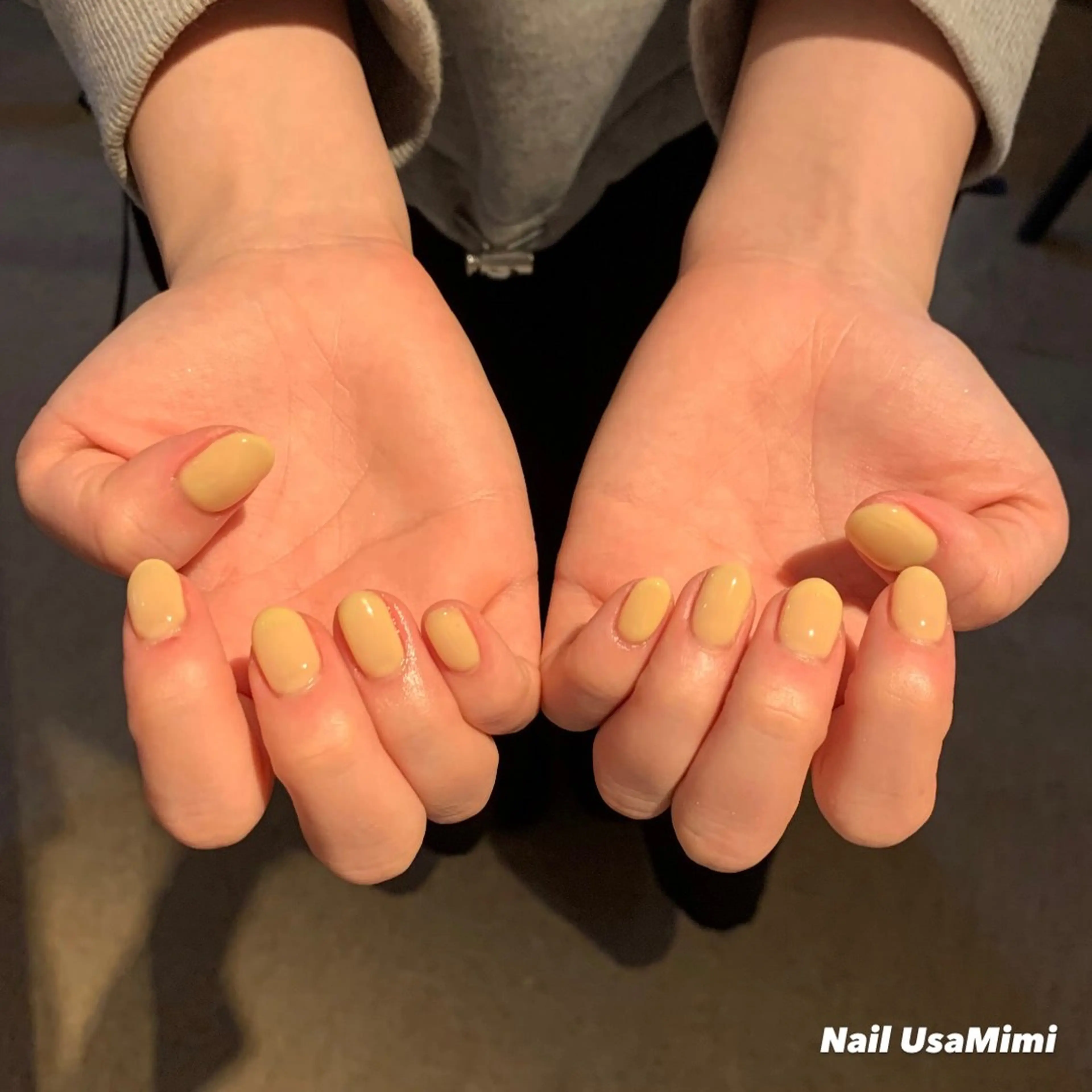 ネイル ジェルネイル マグネットネイル 持ち込み ワンカラーネイル パラジェル 本町ネイルNail UsaMimiのネイルデザイン