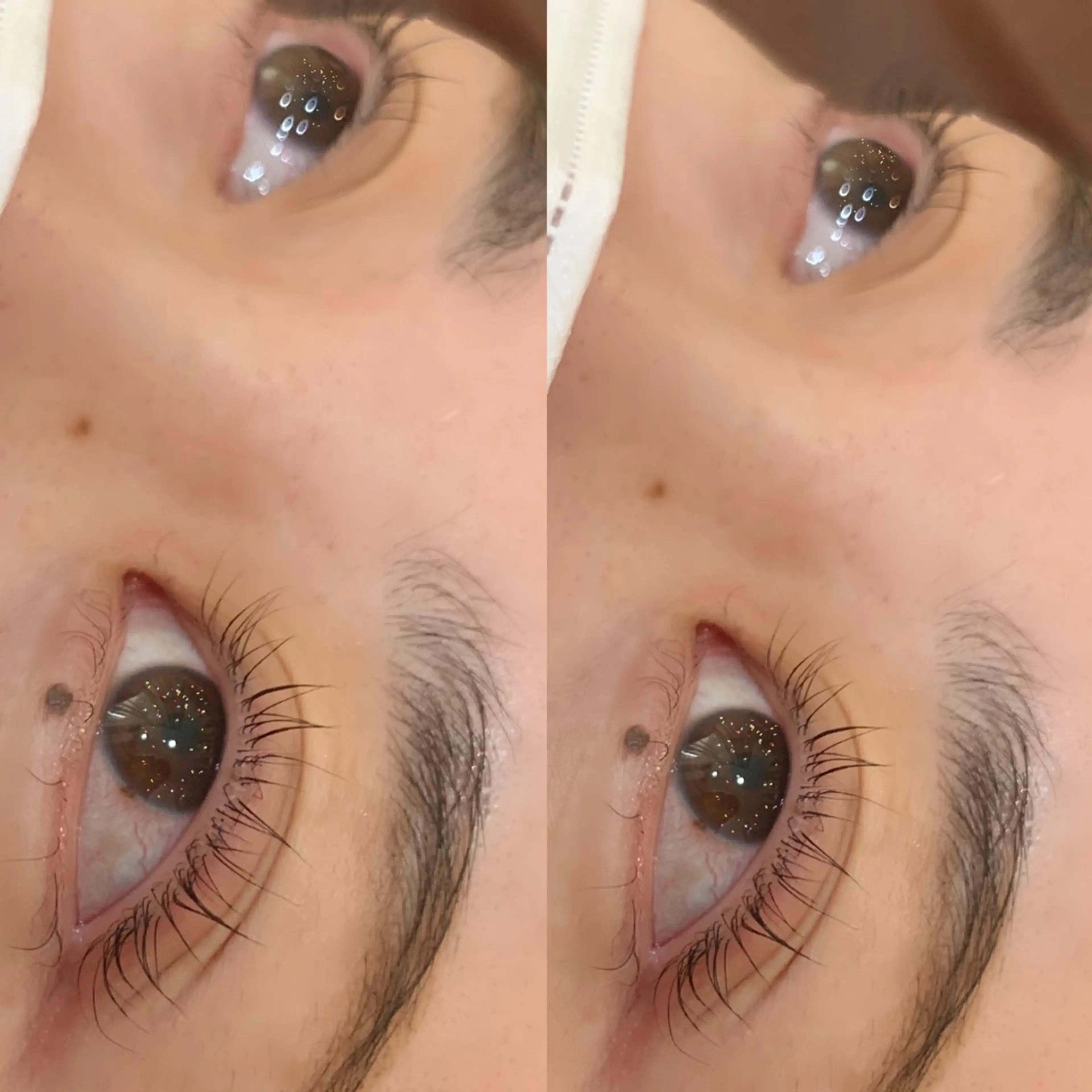 マツエク・マツパ 🌷 ENOMOTO🌷のマツエク・マツパデザイン