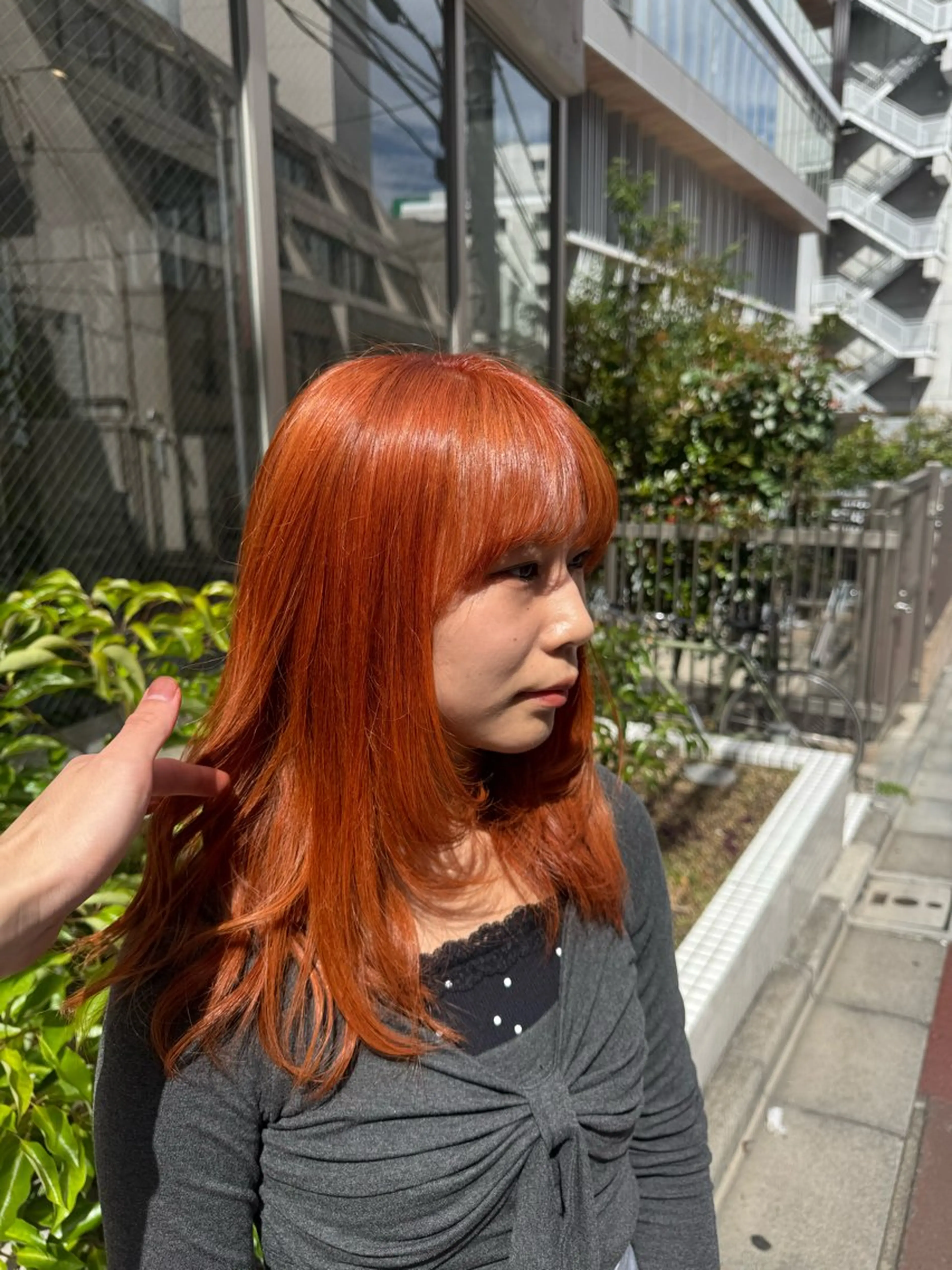 セミロング カラー オレンジ 🎨ハイトーン/ウル フ/ローライト/大夢のヘアスタイル