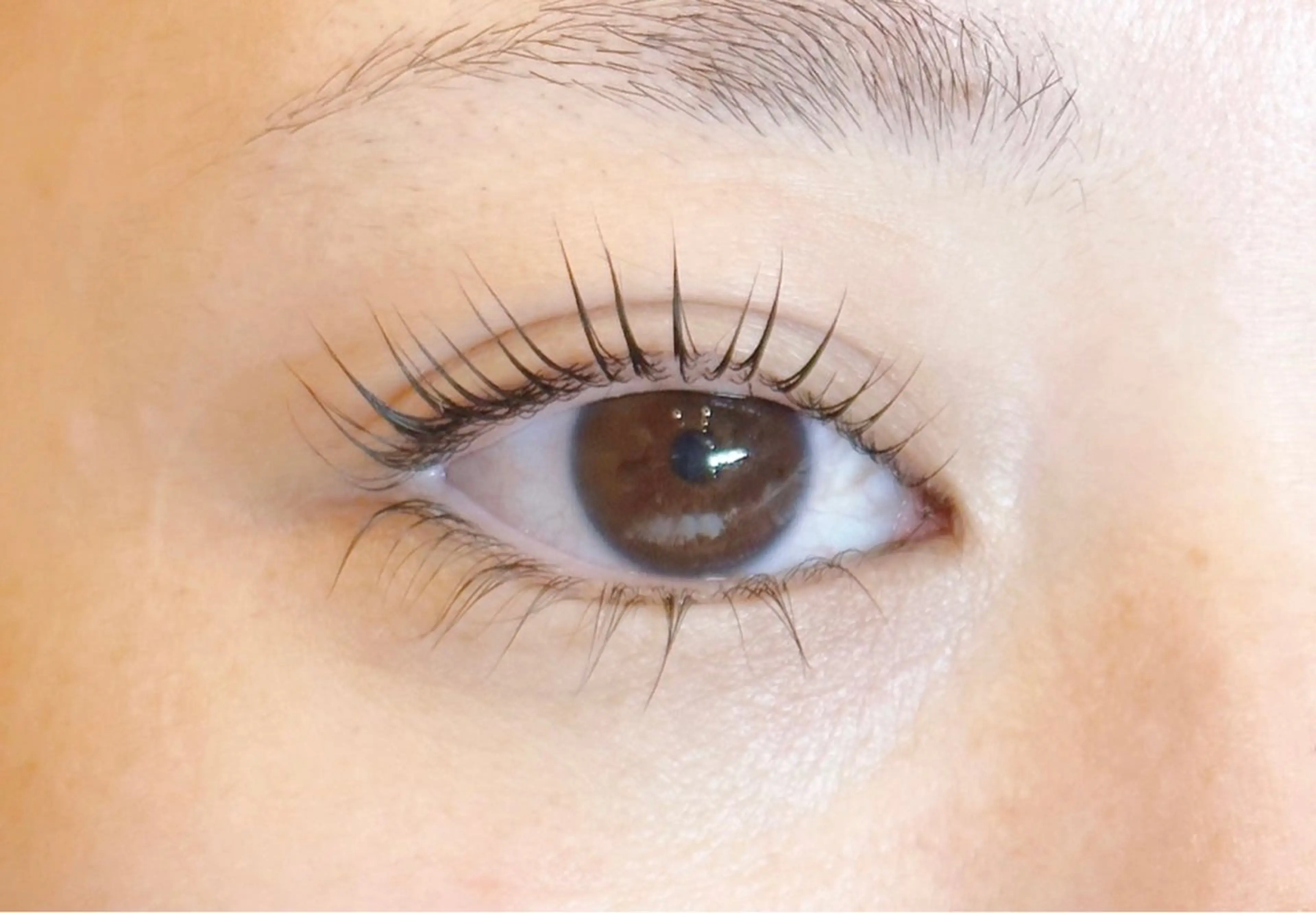 マツエク・マツパ パリジェンヌラッシュリフト Genesis Plus大津京店のマツエク・マツパデザイン