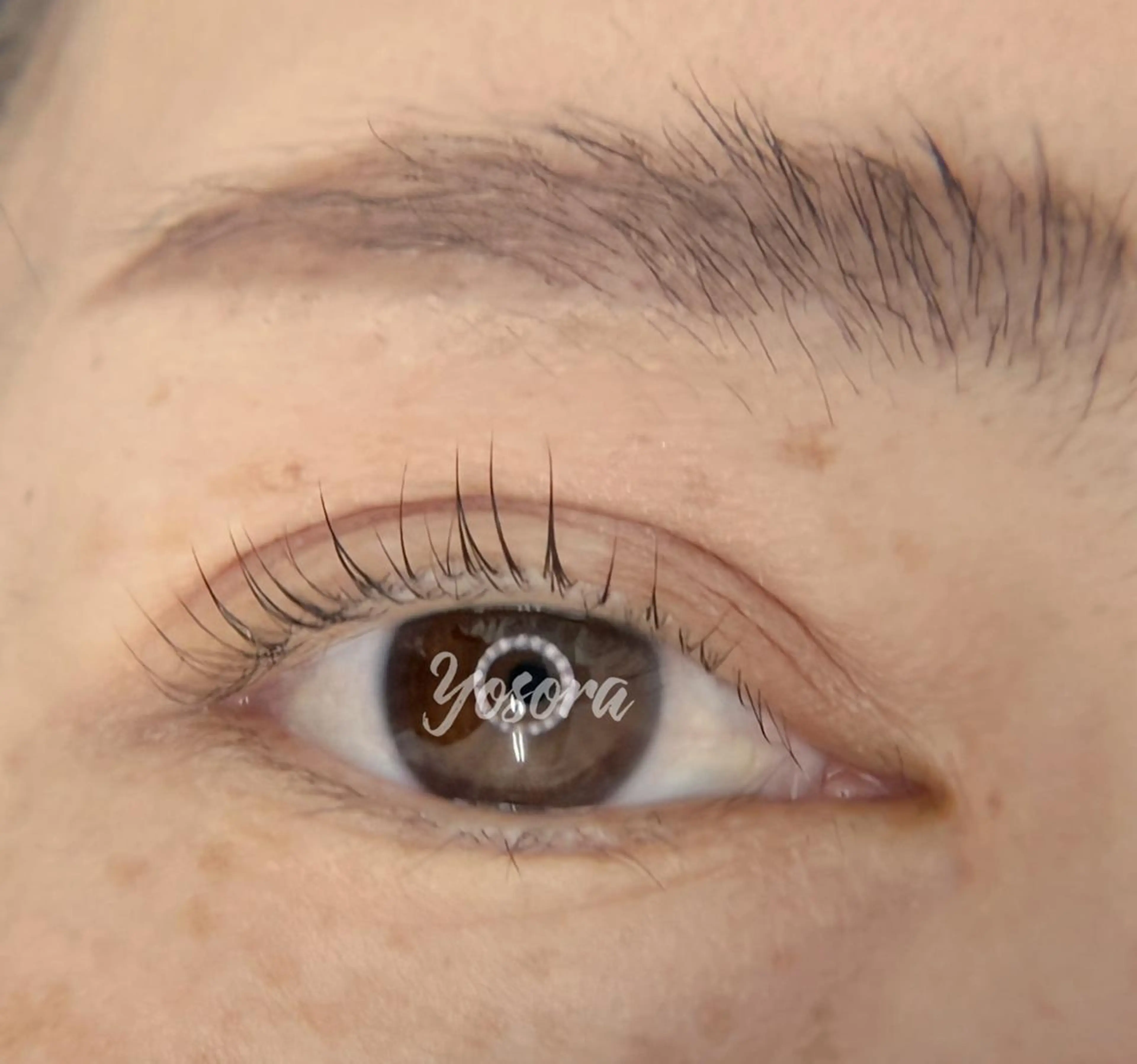 マツエク・マツパ 一重×まつ毛パーマ マツパ Yosora salonのマツエク・マツパデザイン