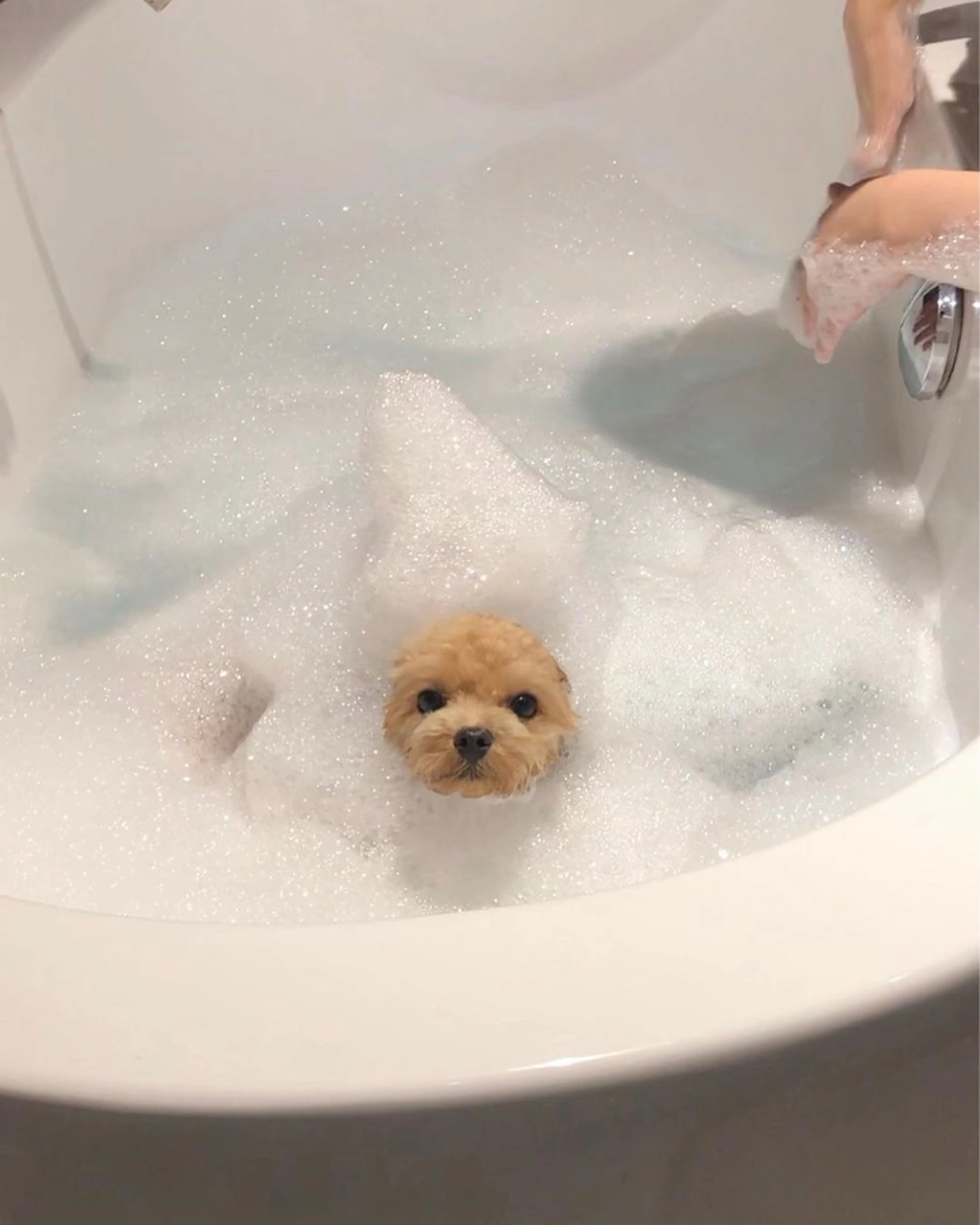 マツエク・マツパ 𝕂𝕪𝕦𝕟𝕠 韓国風/束感/恵比寿のマツエク・マツパデザイン