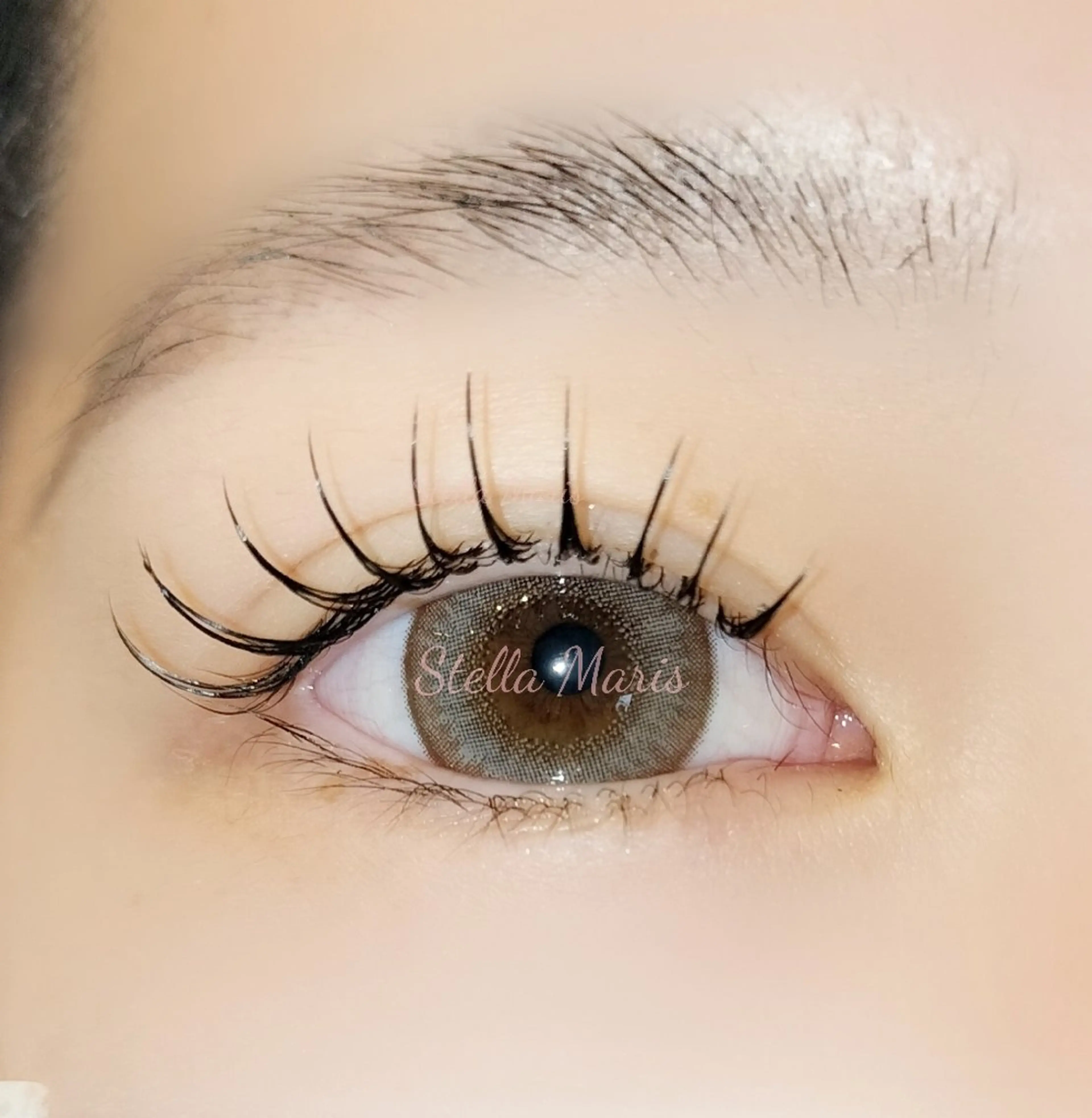 マツエク・マツパ ステラマリス所属・🌼ステラマリス🌼 Hiranoのマツエク・マツパデザイン