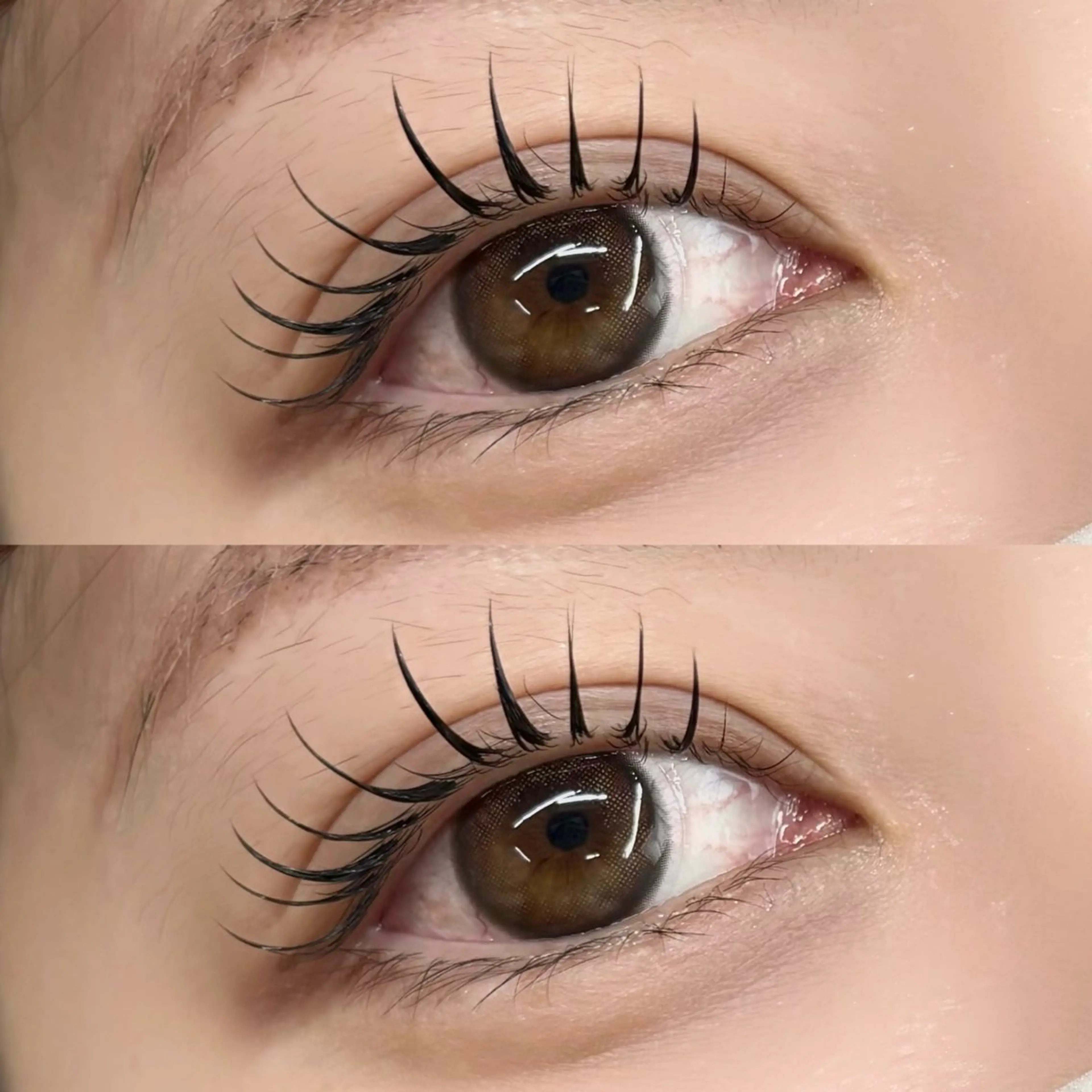 マツエク・マツパ マツエク 【LILY】伊沢/ バインド/パリ/エクのマツエク・マツパデザイン