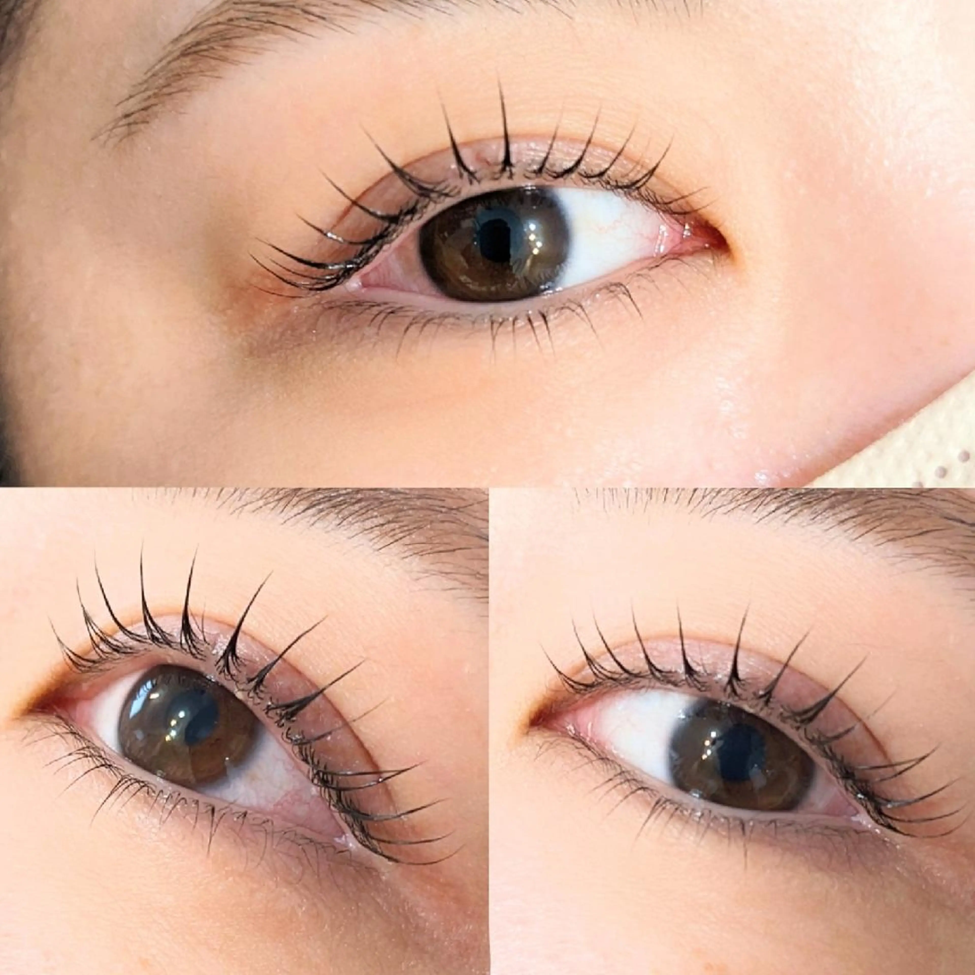 上下まつ毛パーマ🌿の写真