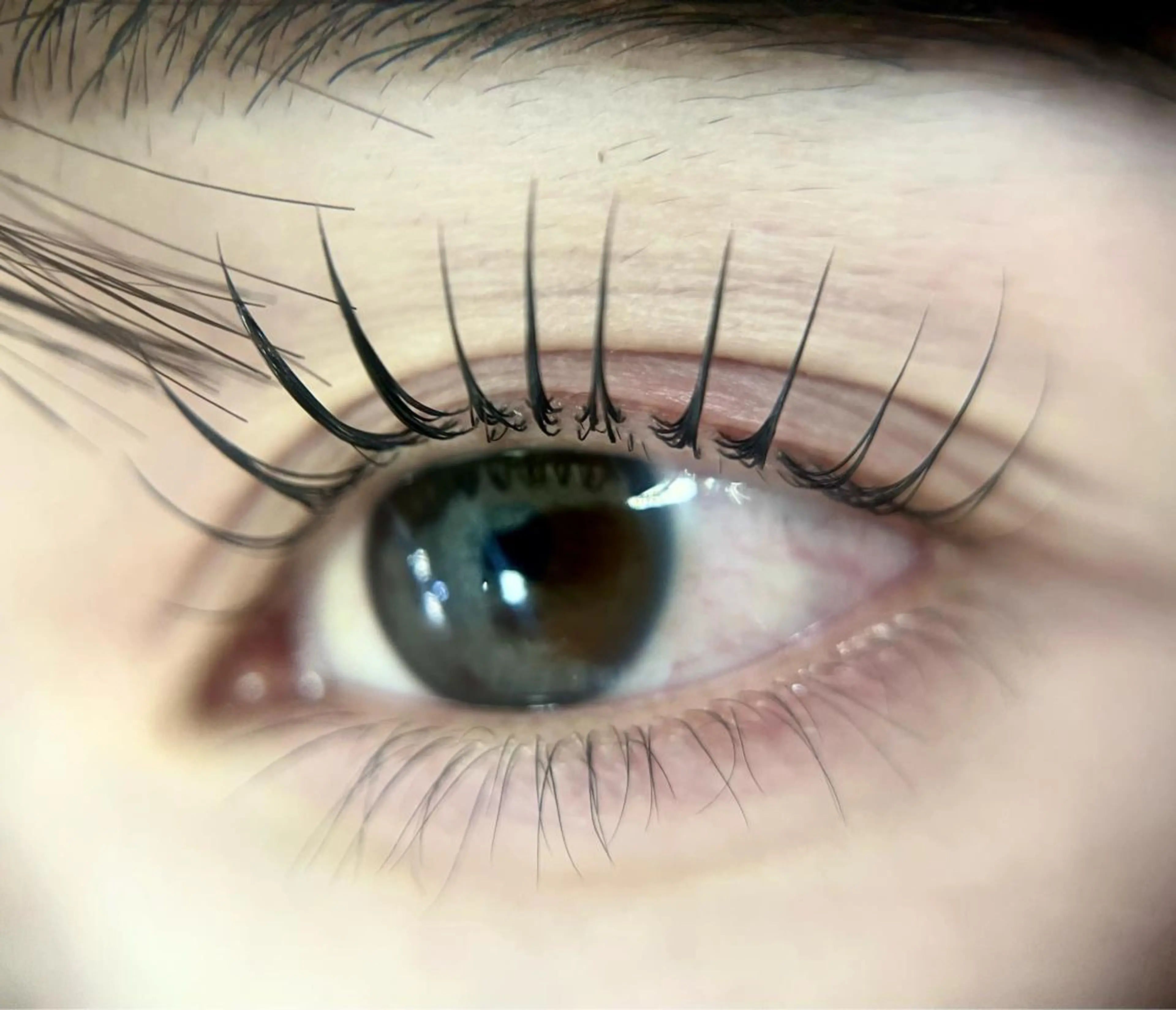 🍒パリジェンヌラッシュリフト美容液コーティング仕上げ♡の写真