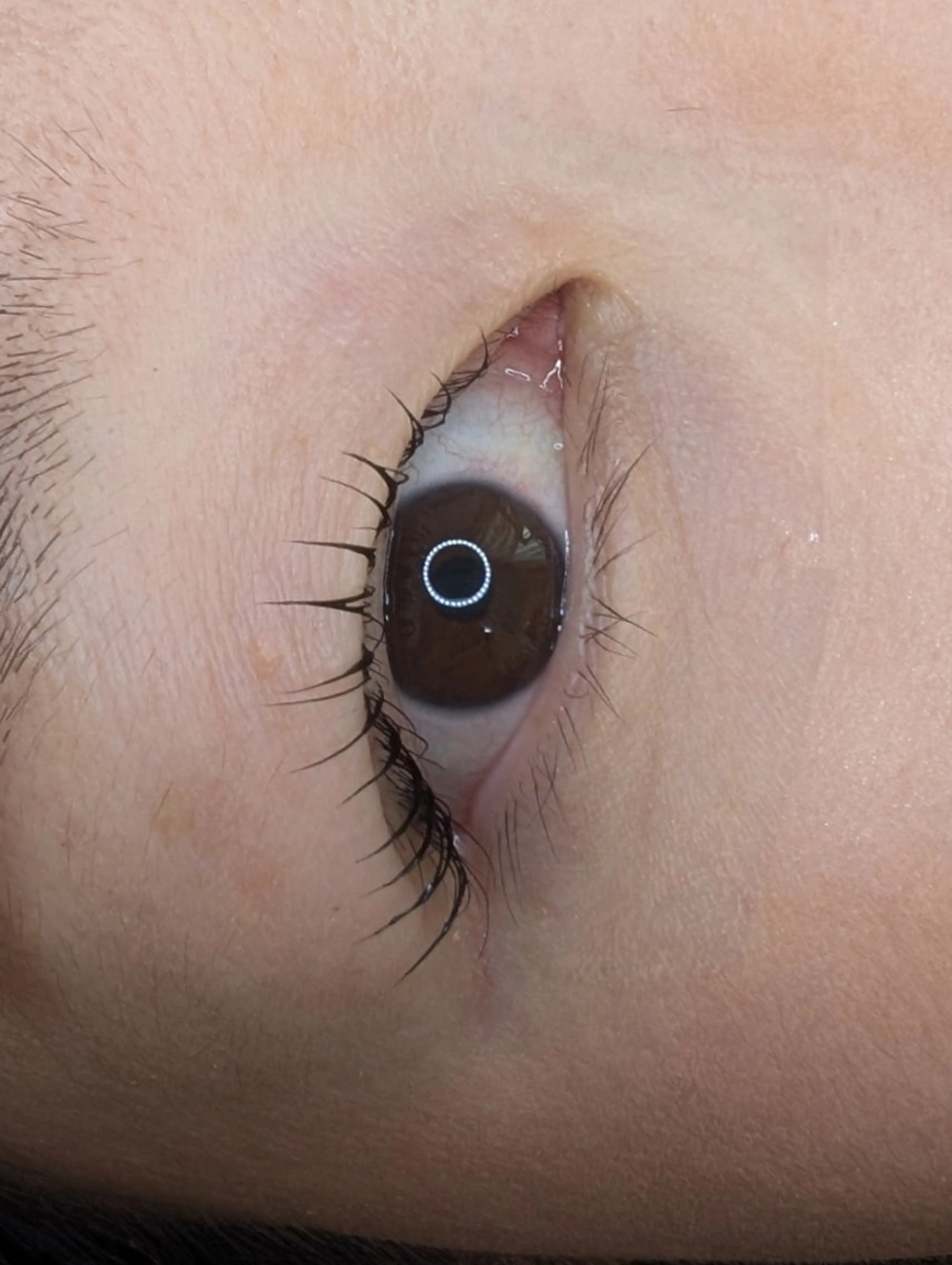 マツエク・マツパ マツパ のなか みきのマツエク・マツパデザイン