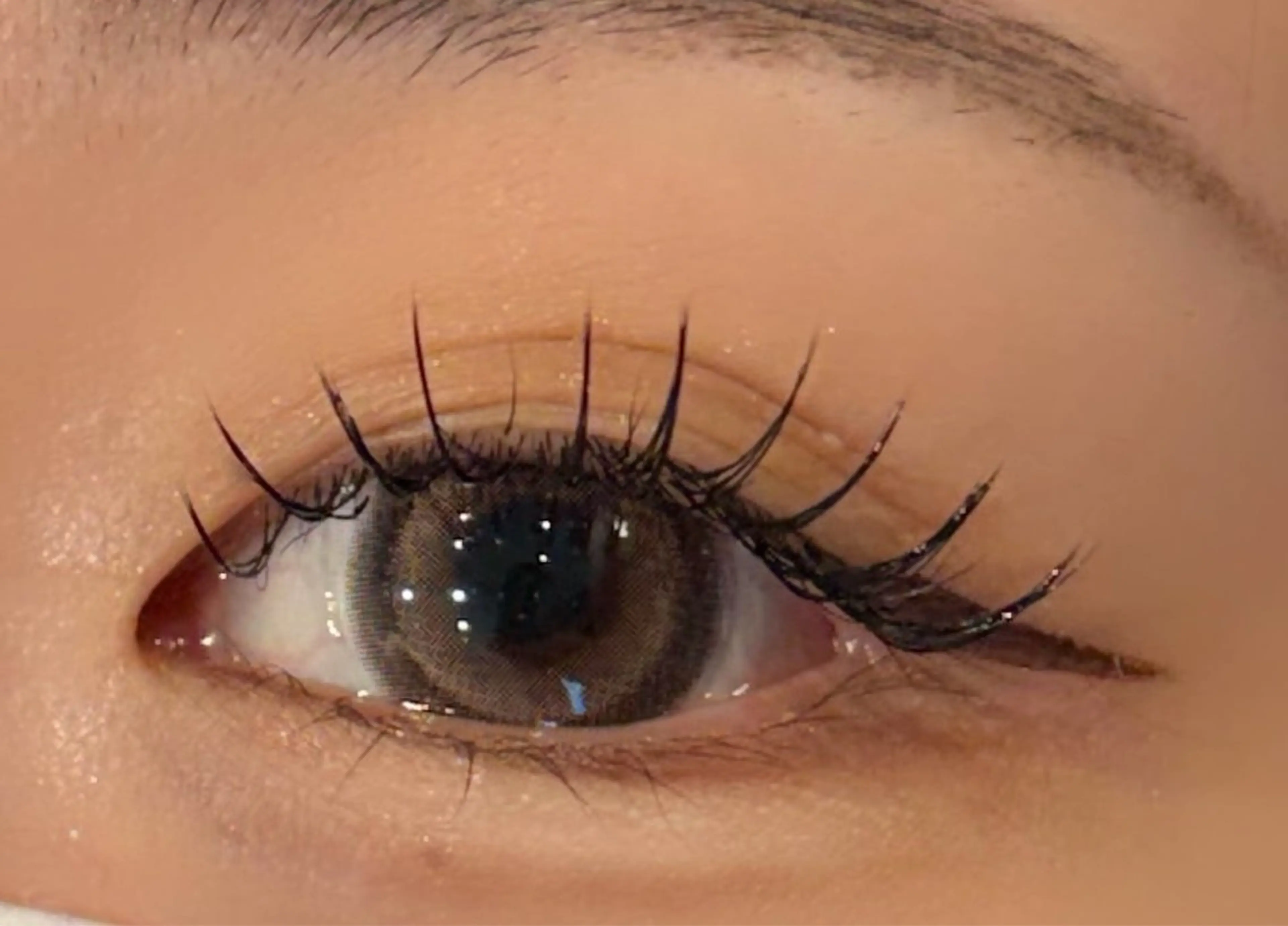 マツエク・マツパ Cカール キュート セーブル Olivia 高尾🐈‍⬛🎀のマツエク・マツパデザイン